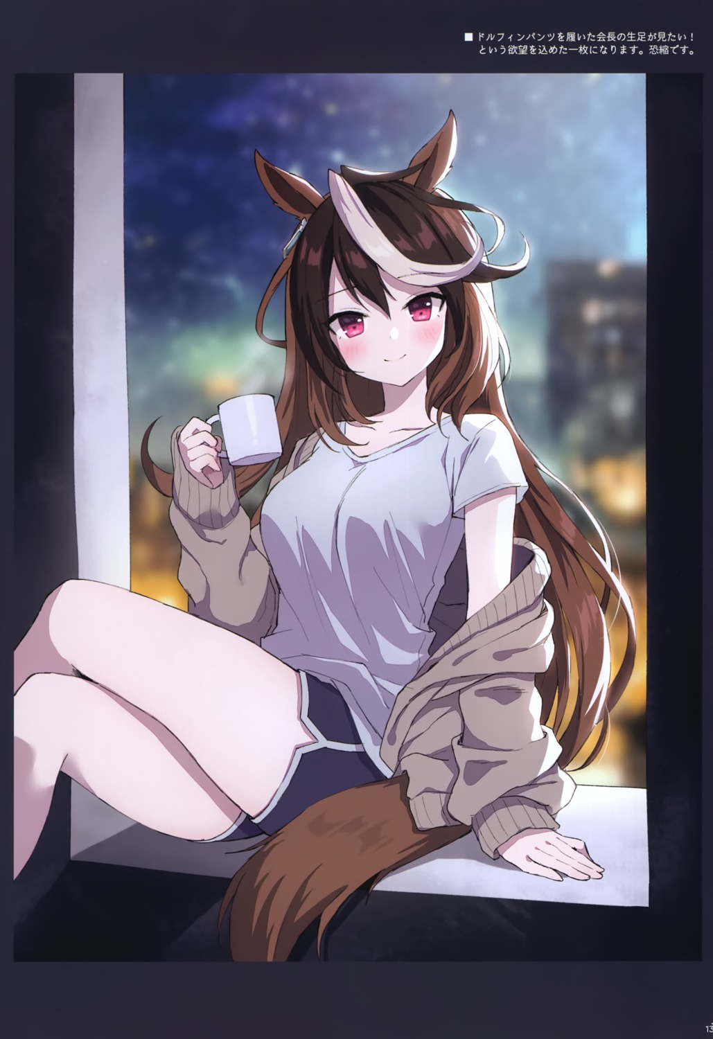 animal_ears mauve sweater symboli_rudolf_(umamusume) tail uma_musume_pretty_derby wata★punch