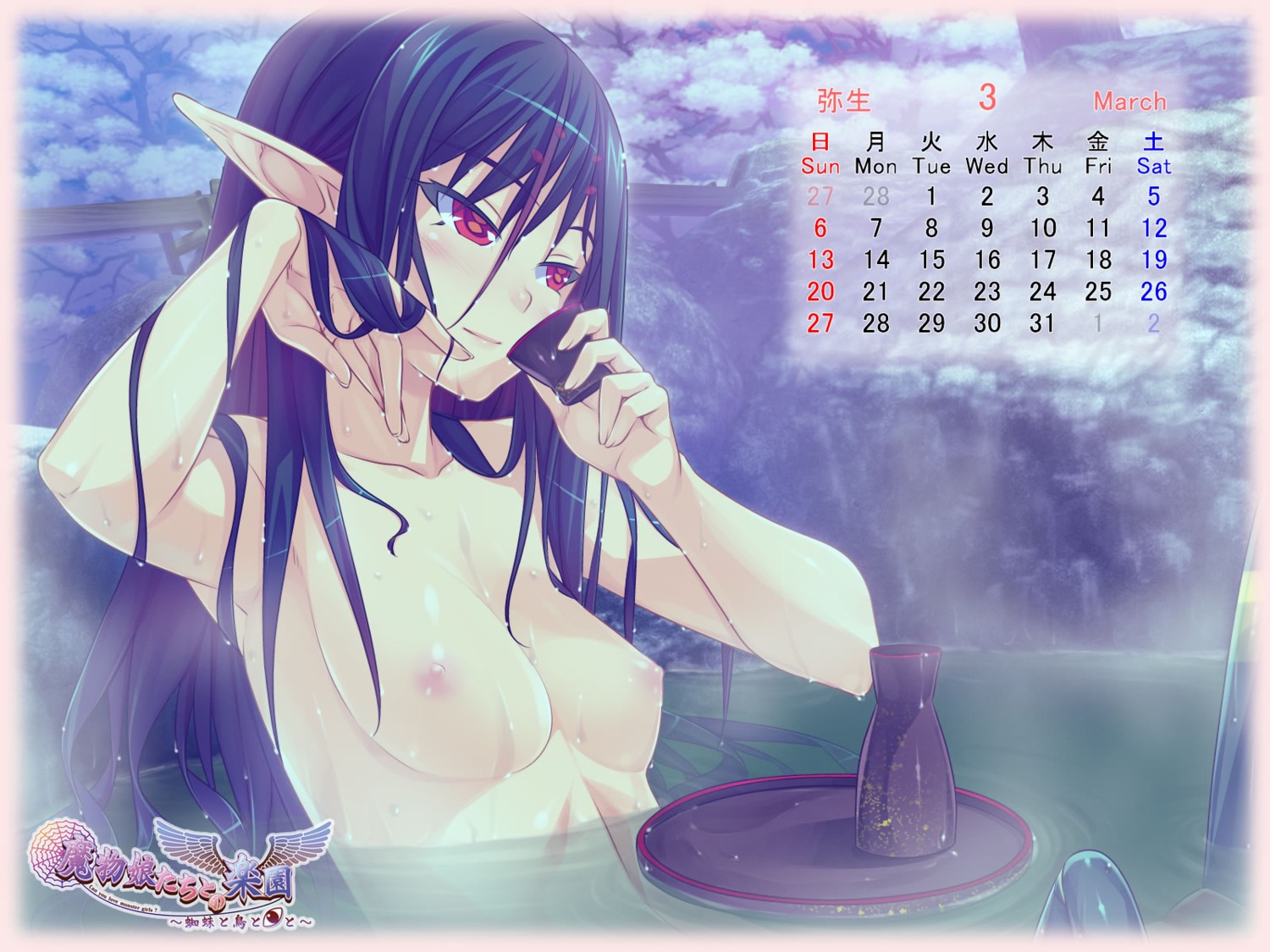 araanie bubuzuke calendar mamono_musume-tachi_to_no_rakuen monster_girl naked nipples onsen sake vanadis wallpaper wet