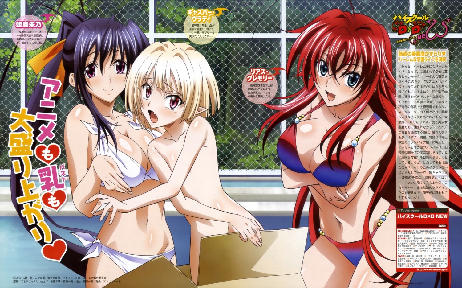 bikini breast_hold cleavage gasper_vladi gotou_junji highschool_dxd himejima_akeno naked pointy_ears rias_gremory swimsuits trap