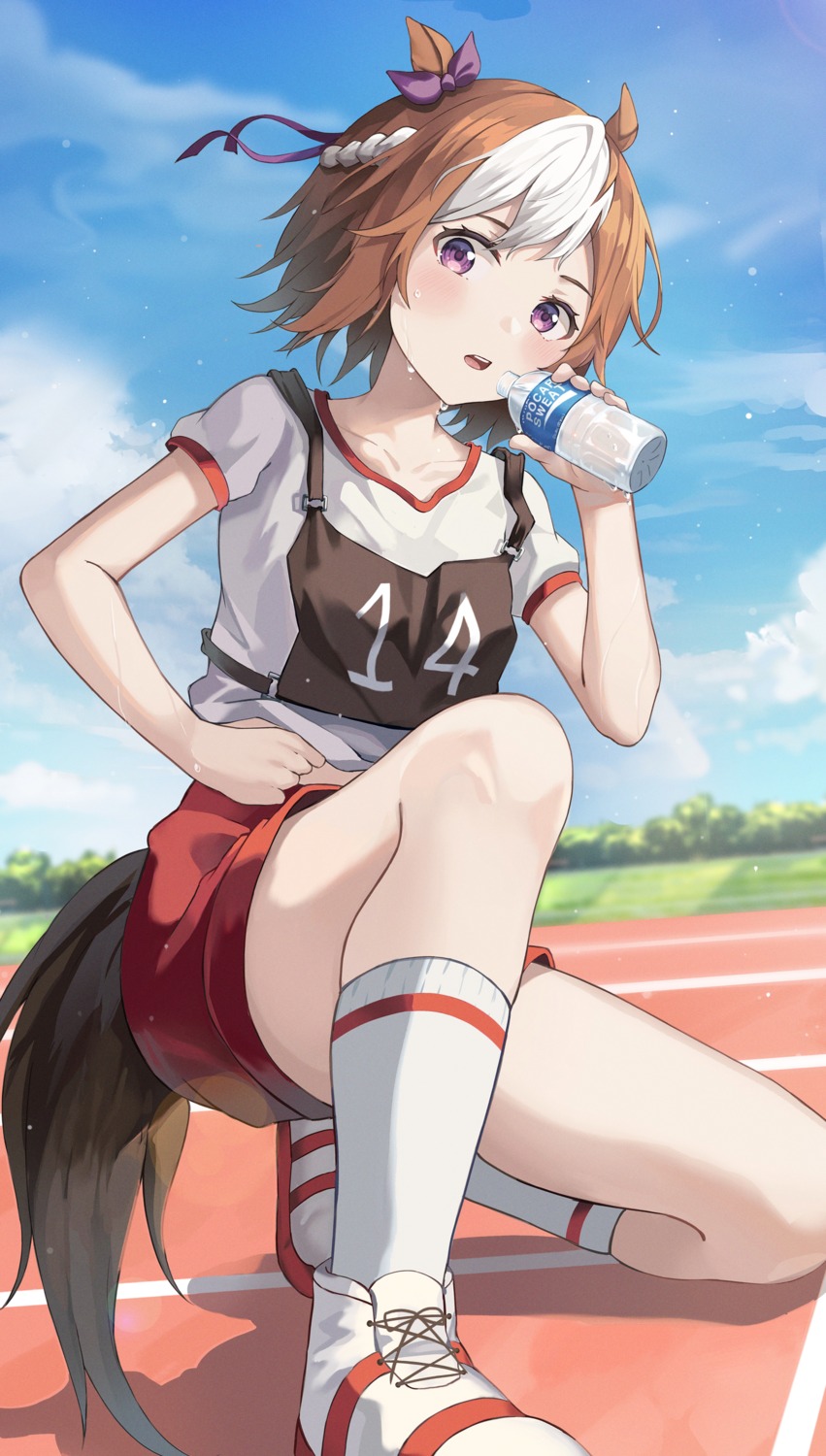 animal_ears gym_uniform special_week_(umamusume) tail uma_musume_pretty_derby yeolyeo