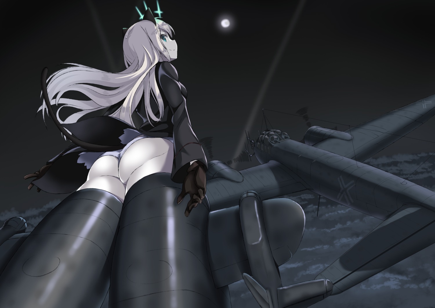 a9b_(louis814) animal_ears ass pantsu strike_witches tail