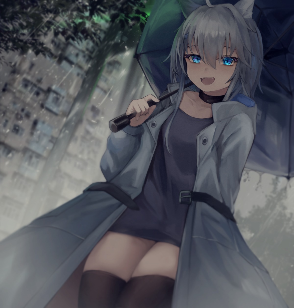 animal_ears aoinu thighhighs umbrella