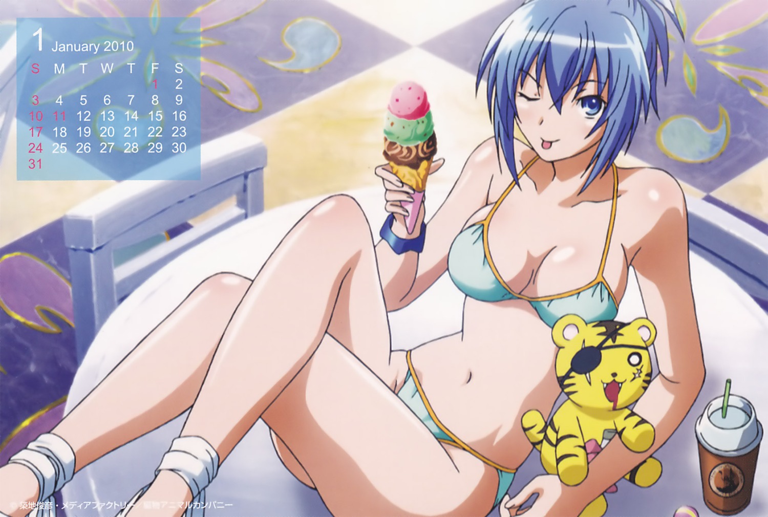 bikini calendar cleavage genderswap harakiri_tora jpeg_artifacts kämpfer senou_natsuru swimsuits