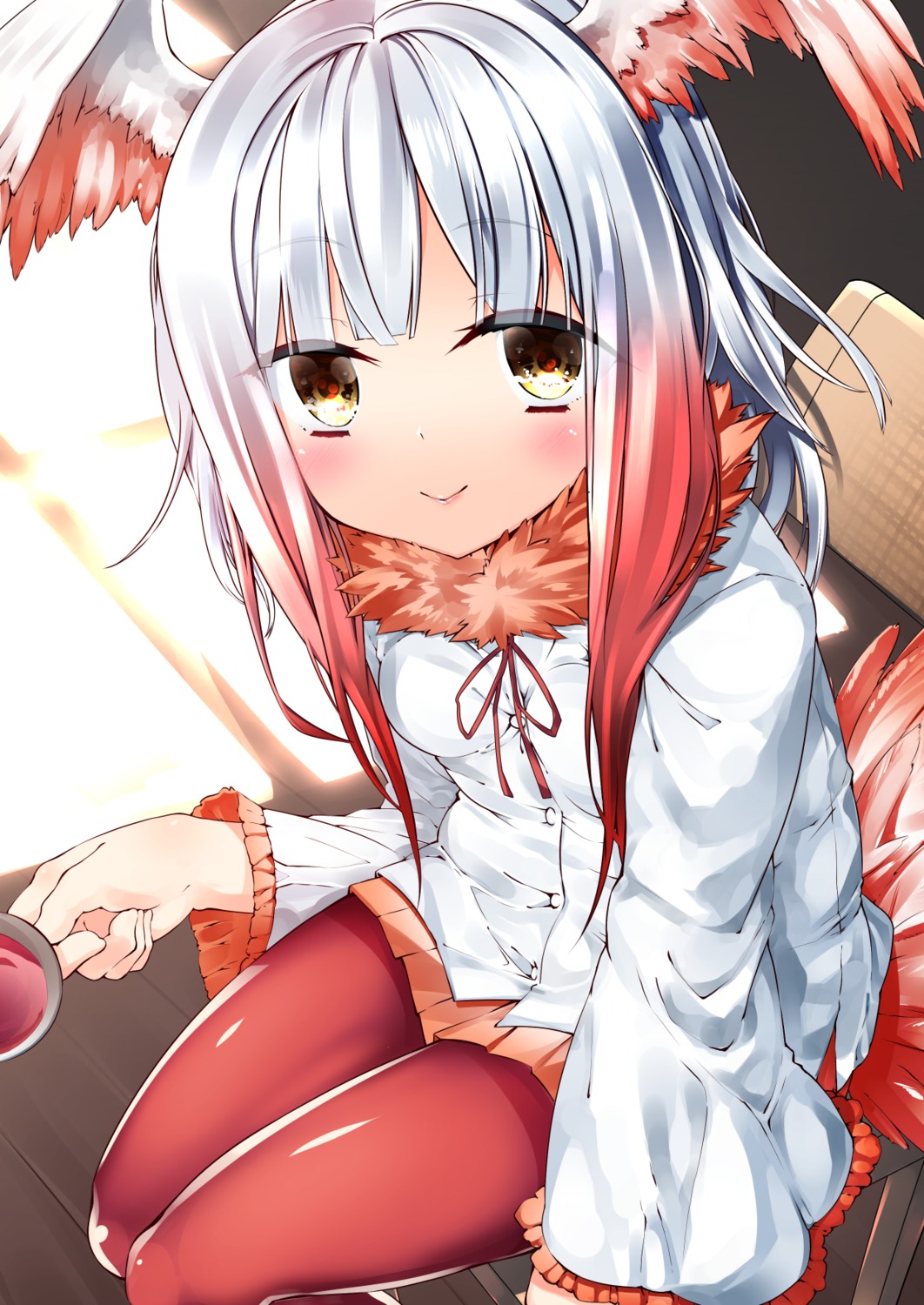 crested_ibis kemono_friends pantyhose shirasagi_rokuwa wings