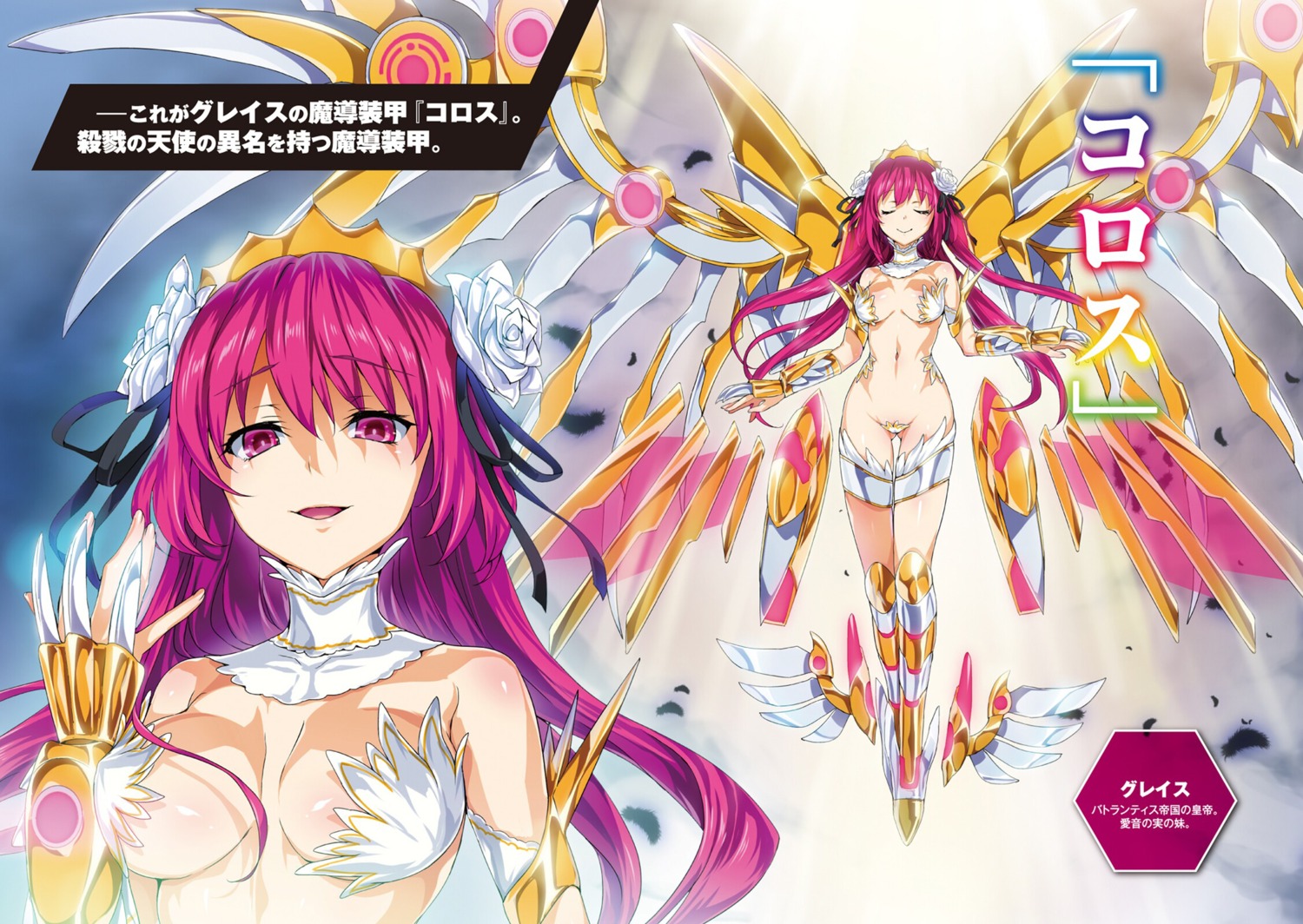 bikini_armor cleavage hisasi maebari masou_gakuen_hxh wings