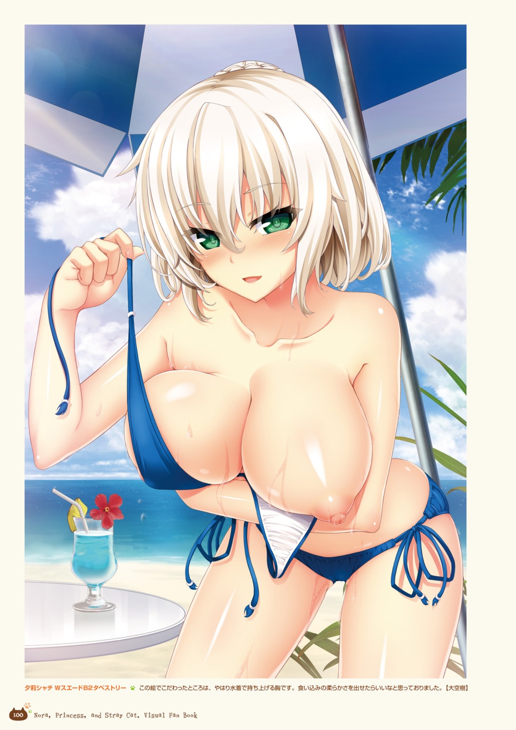 bikini breast_hold breasts digital_version harukaze-soft nipples nora_to_oujo_to_noraneko_heart_-nora_princess_and_stray_cat.- oozora_itsuki swimsuits wet yuri_shachi