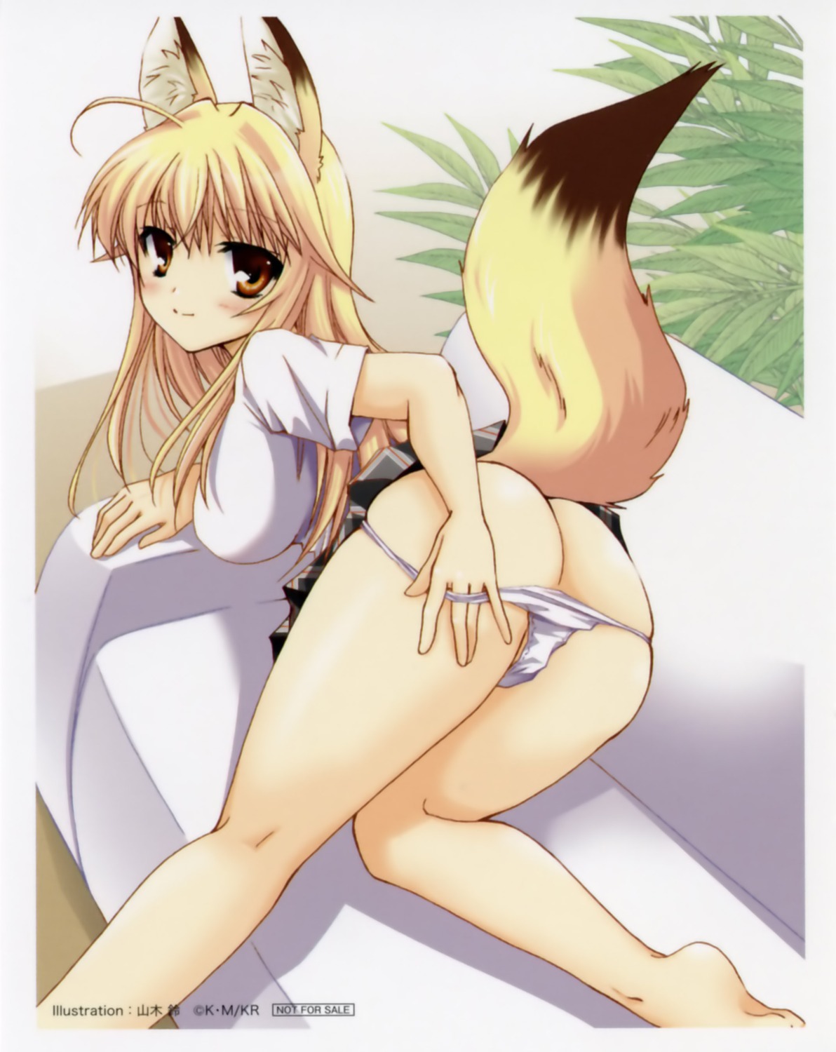 animal_ears ass kanokon kitsune minamoto_chizuru overfiltered pantsu panty_pull tail yamaki_rin