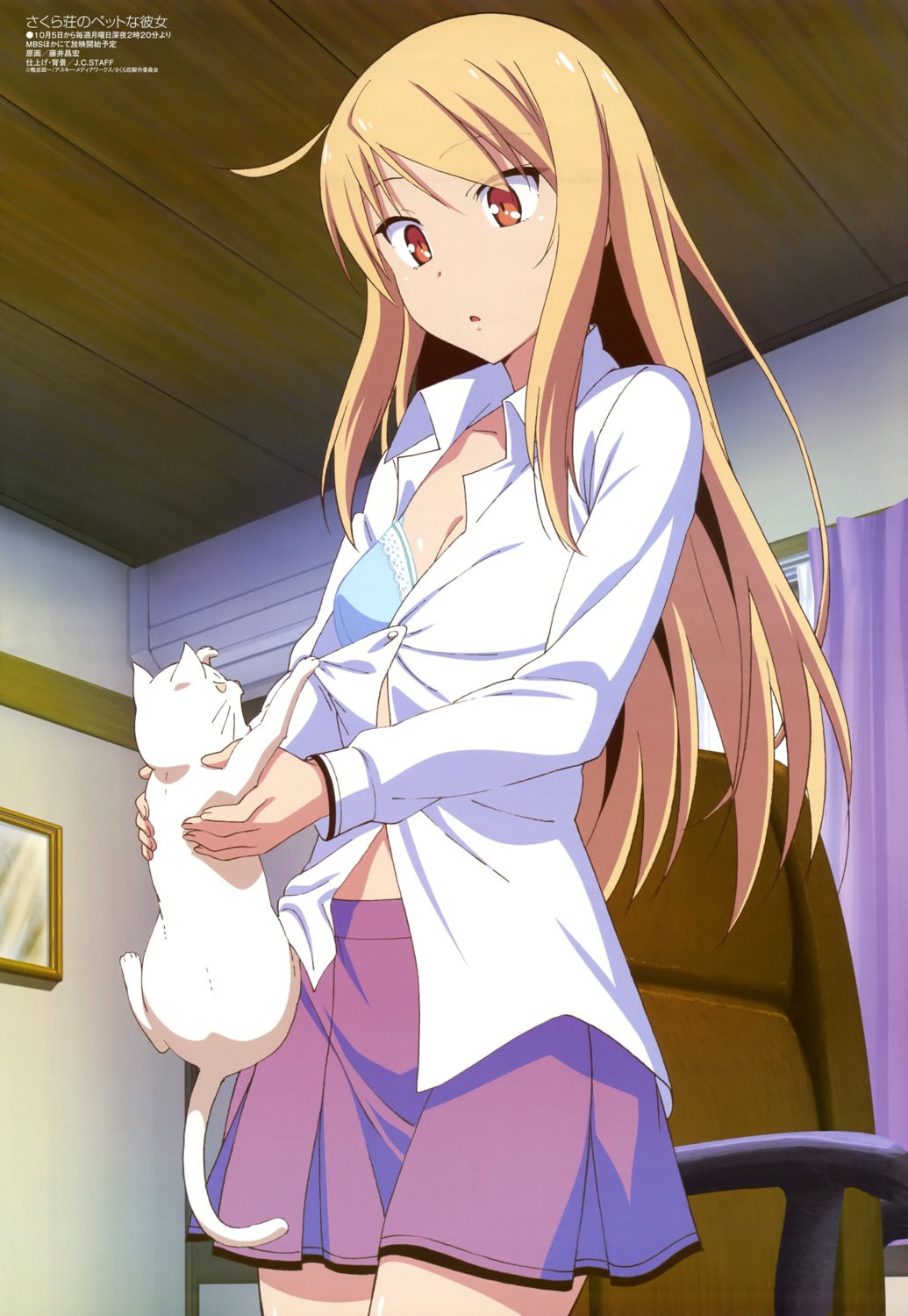 bra cleavage fujii_masahiro neko sakura-sou_no_pet_na_kanojo shiina_mashiro undressing