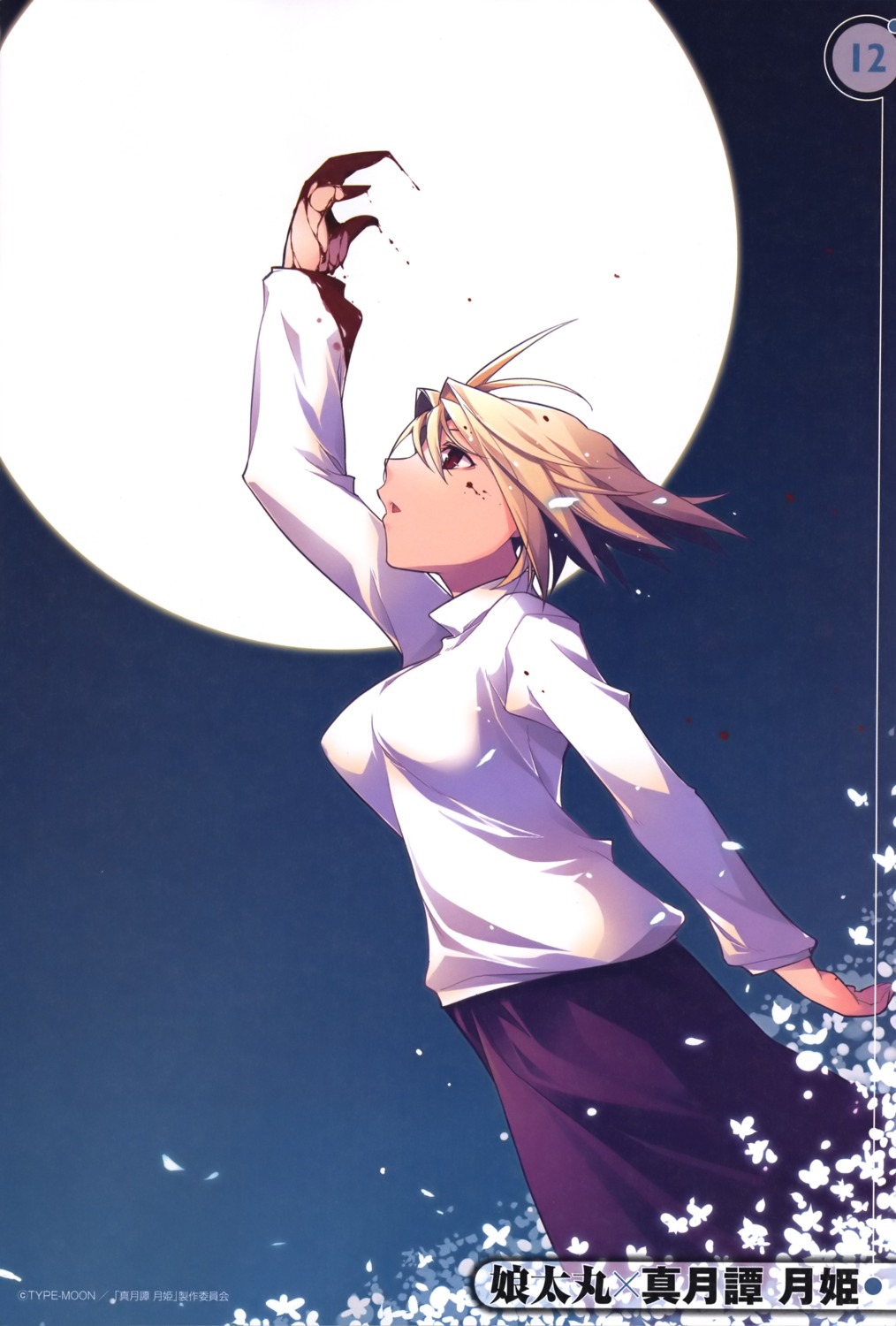 arcueid_brunestud kotamaru tsukihime