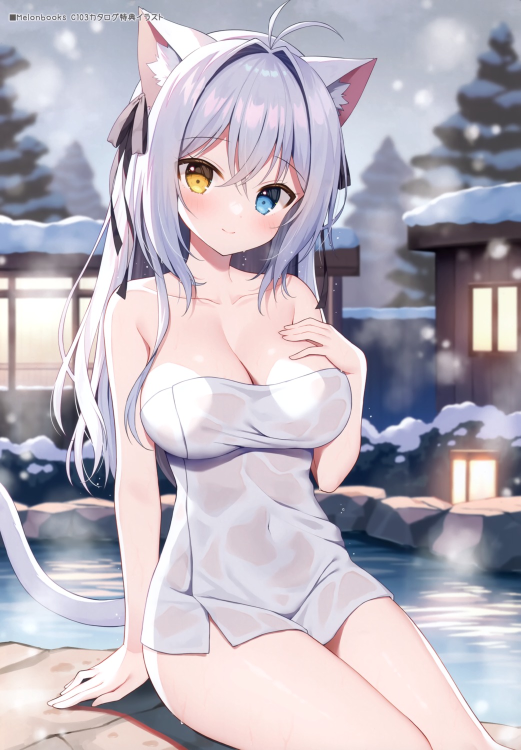 aina_rive animal_ears heterochromia mauve nekomimi onsen see_through tail towel wata★punch wet