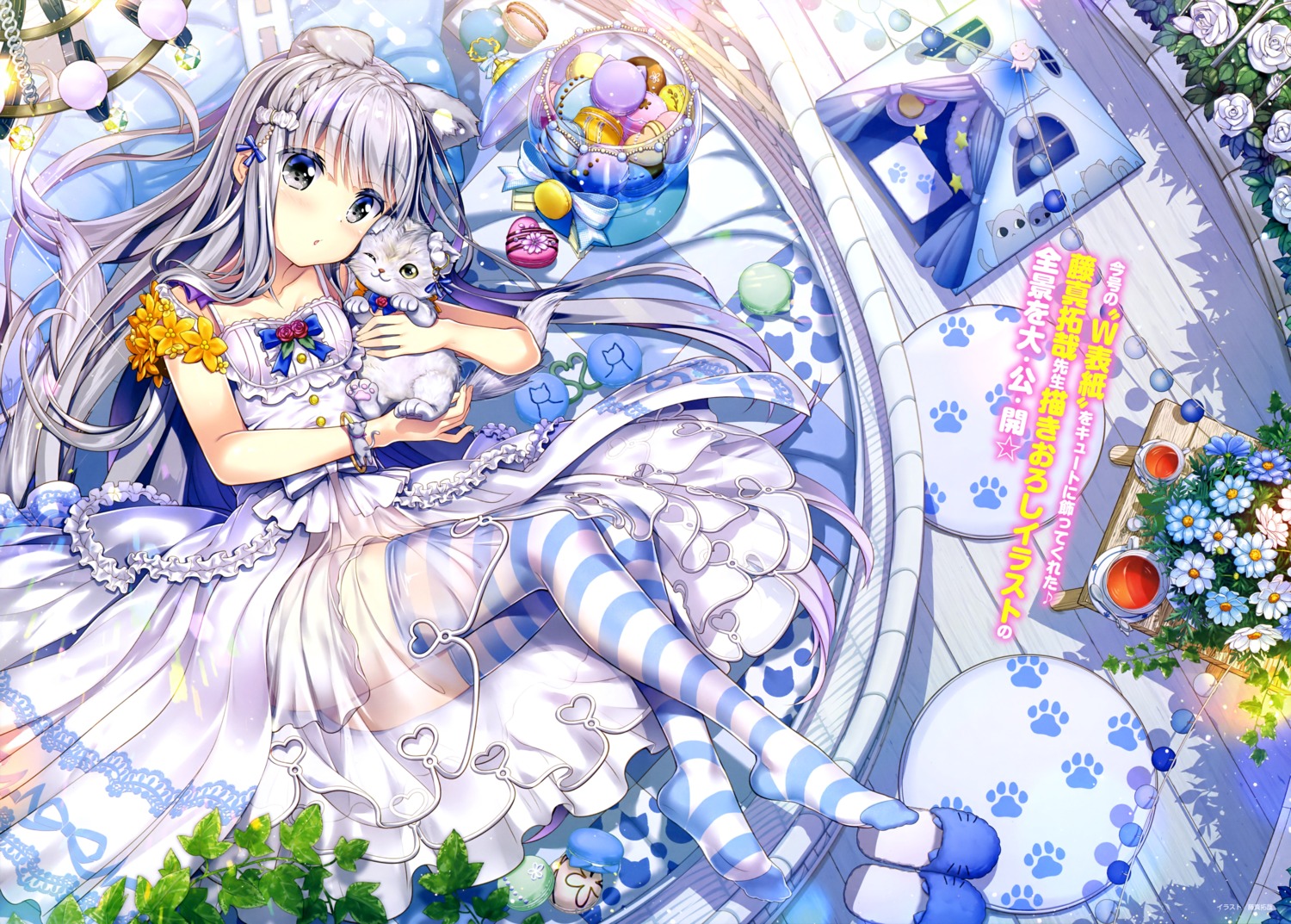 animal_ears dress fujima_takuya neko nekomimi see_through tail thighhighs