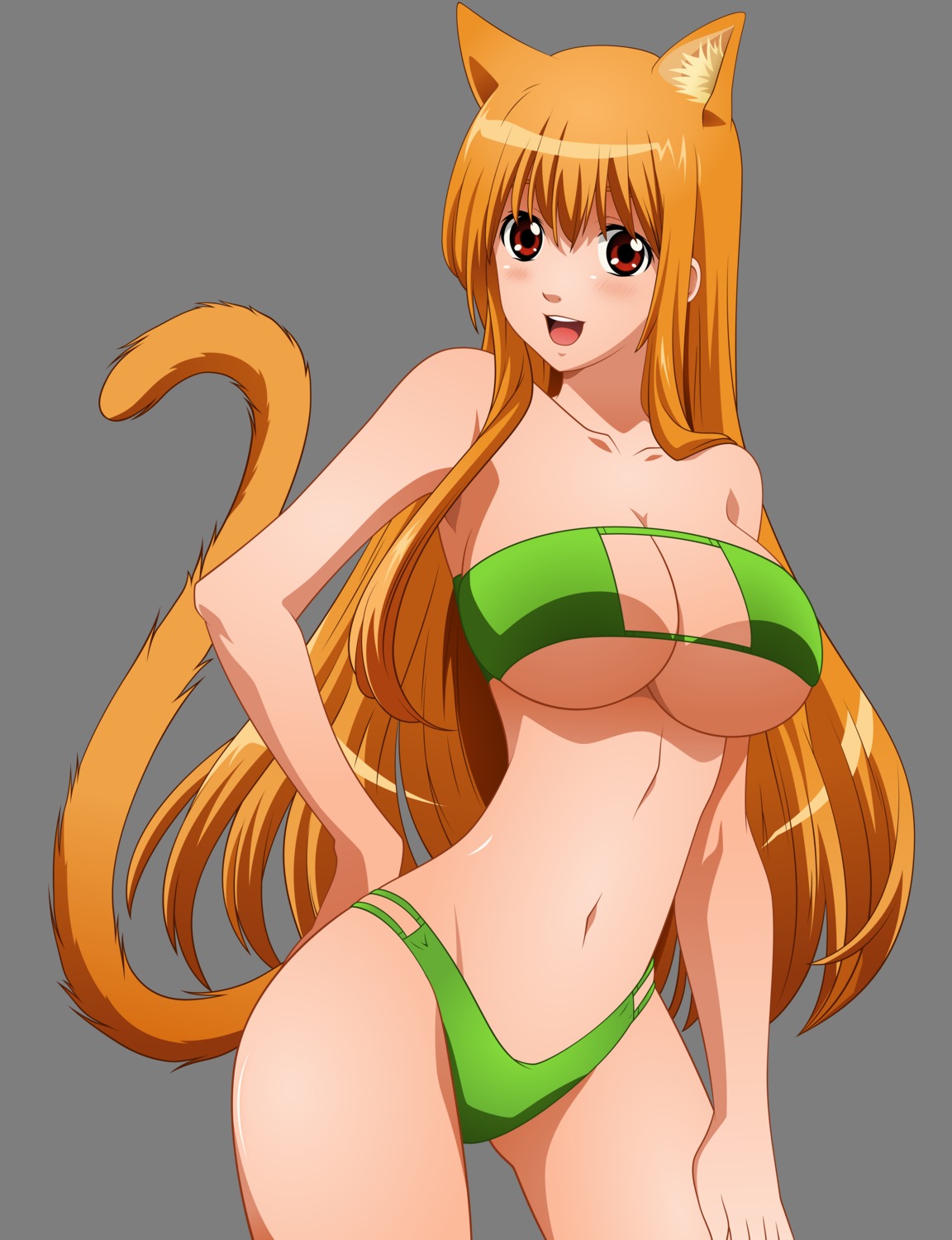 animal_ears asobi_ni_iku_yo! bikini cleavage eris nekomimi swimsuits tail transparent_png underboob vector_trace