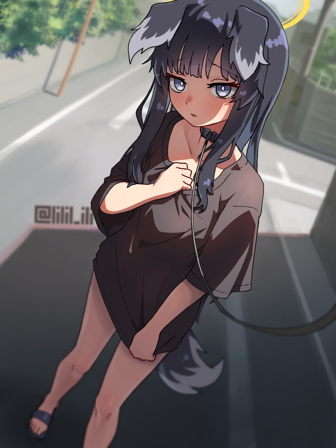 animal_ears blue_archive halo inumimi nekozuka_hibiki special_cat tail