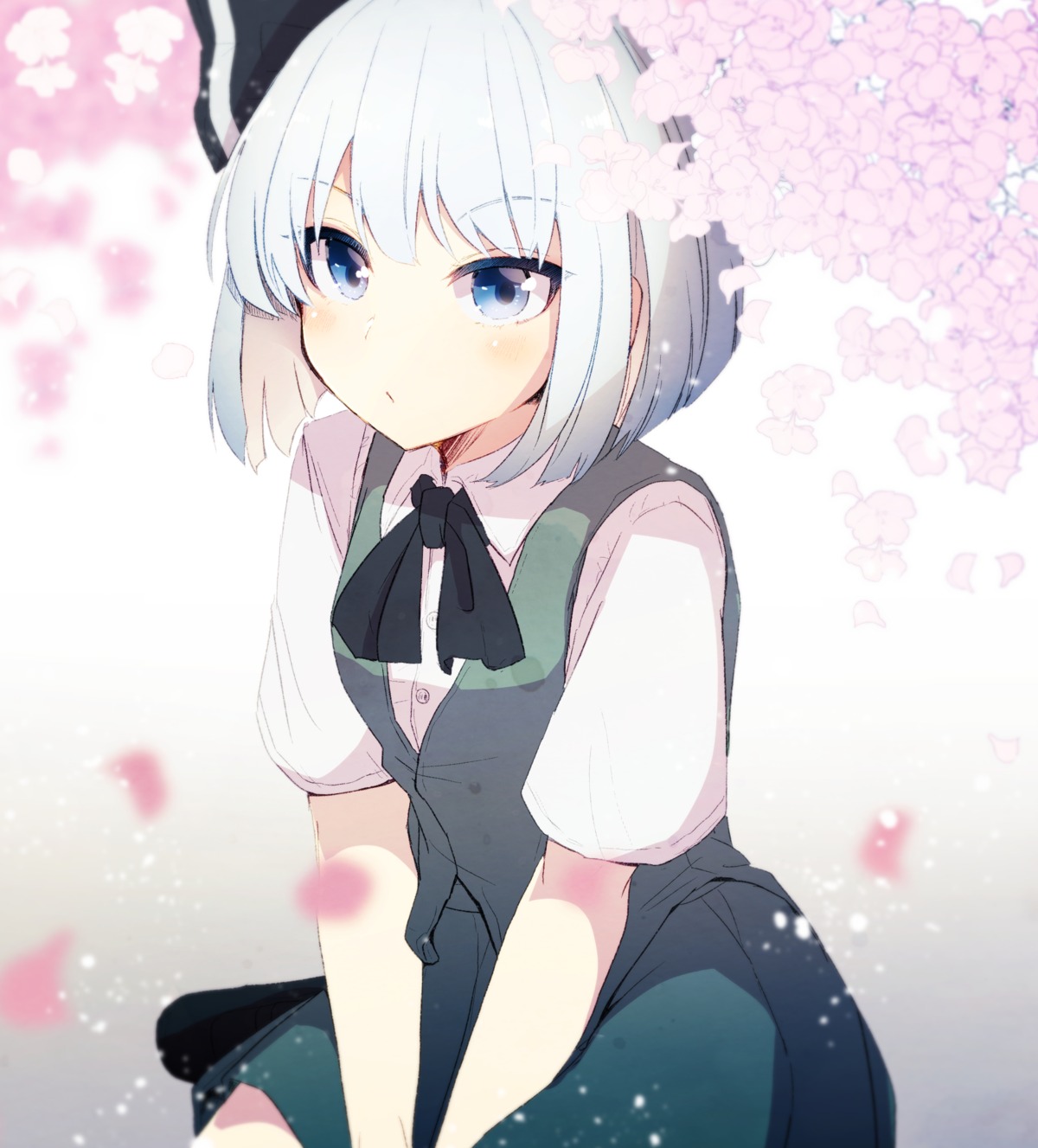 aoi_(annbi) konpaku_youmu touhou