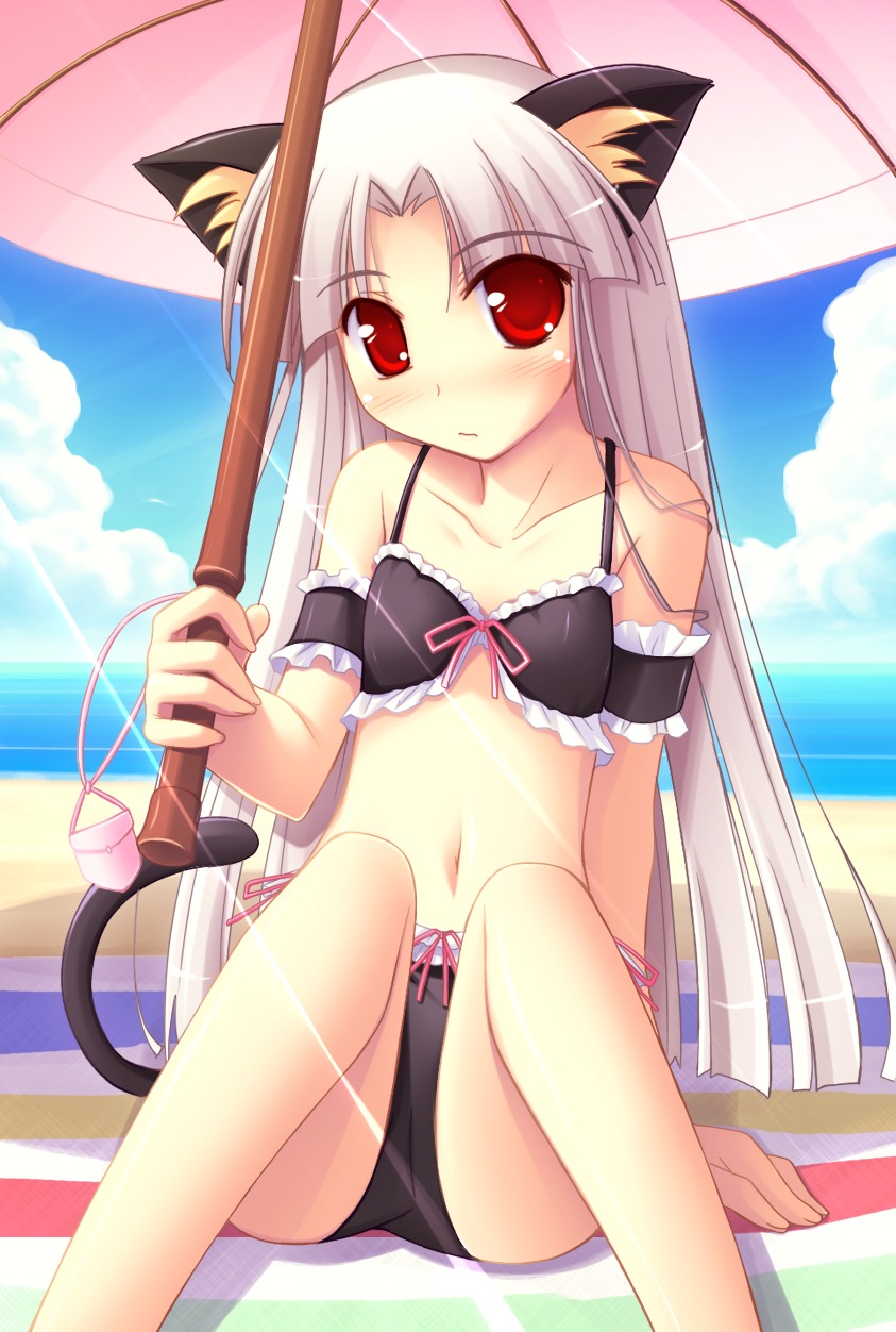 animal_ears bikini happiness ko~cha nekomimi shikimori_ibuki swimsuits windmill