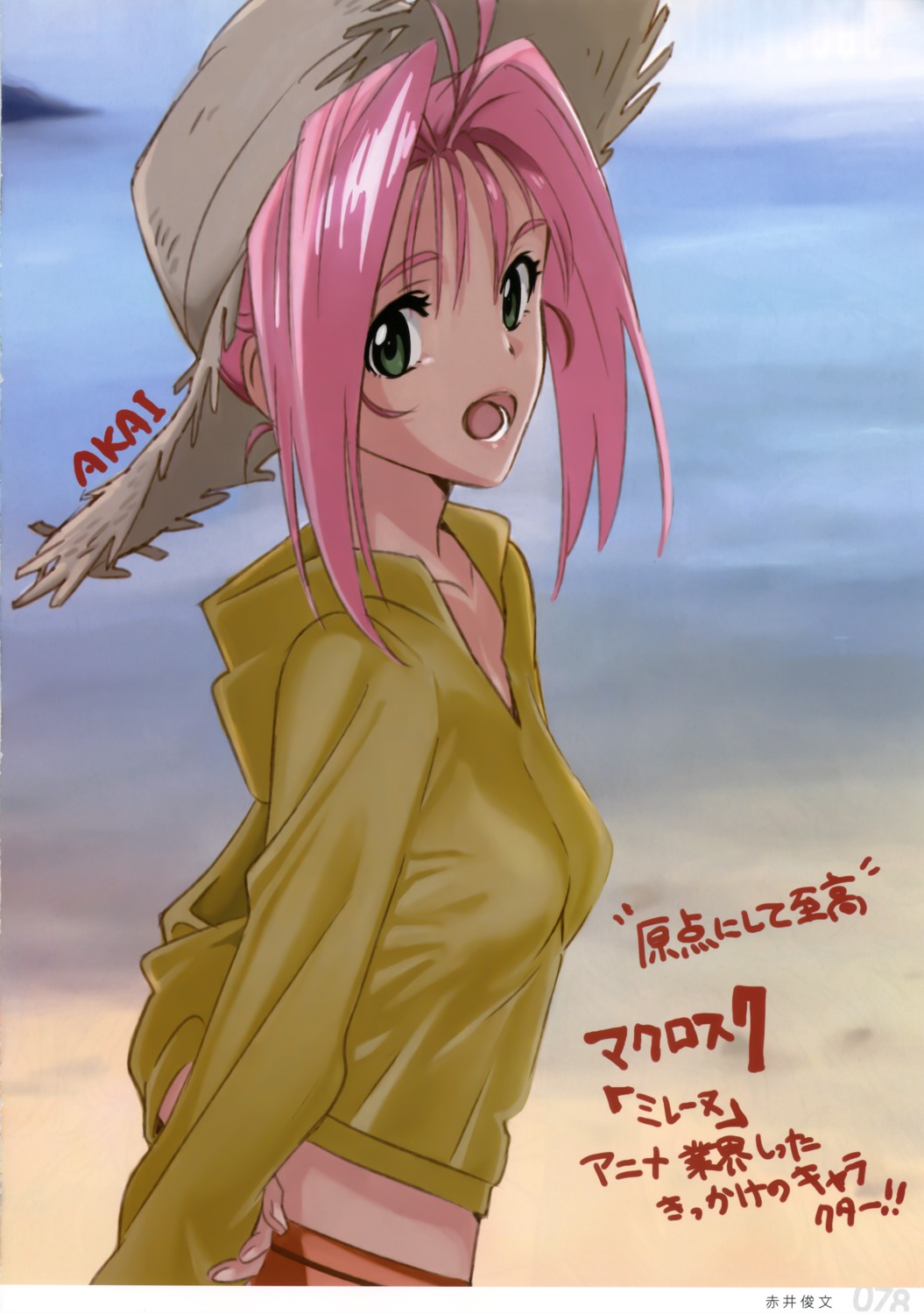 akai_toshifumi macross macross_7 mylene_flare_jenius