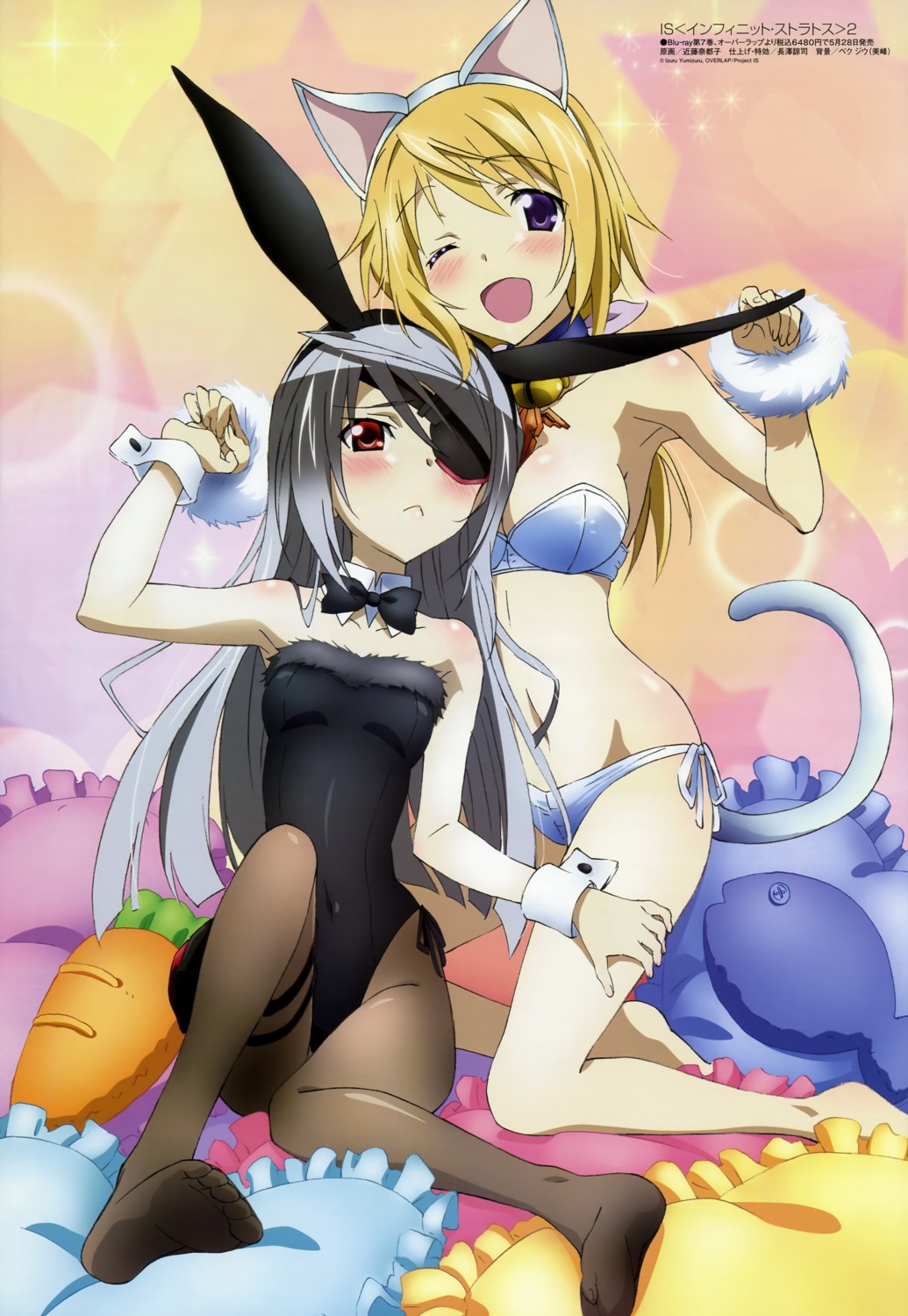 animal_ears bikini bunny_ears bunny_girl charlotte_dunois eyepatch infinite_stratos kondou_natsuko laura_bodewig nekomimi pantyhose swimsuits tail