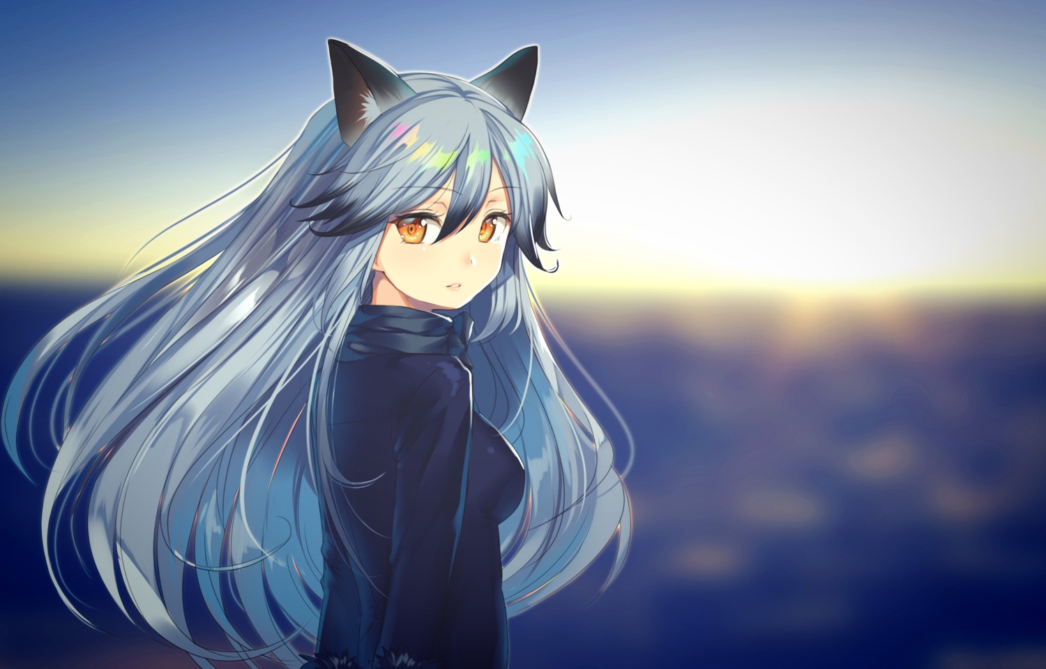 animal_ears kemono_friends kuroyui silver_fox