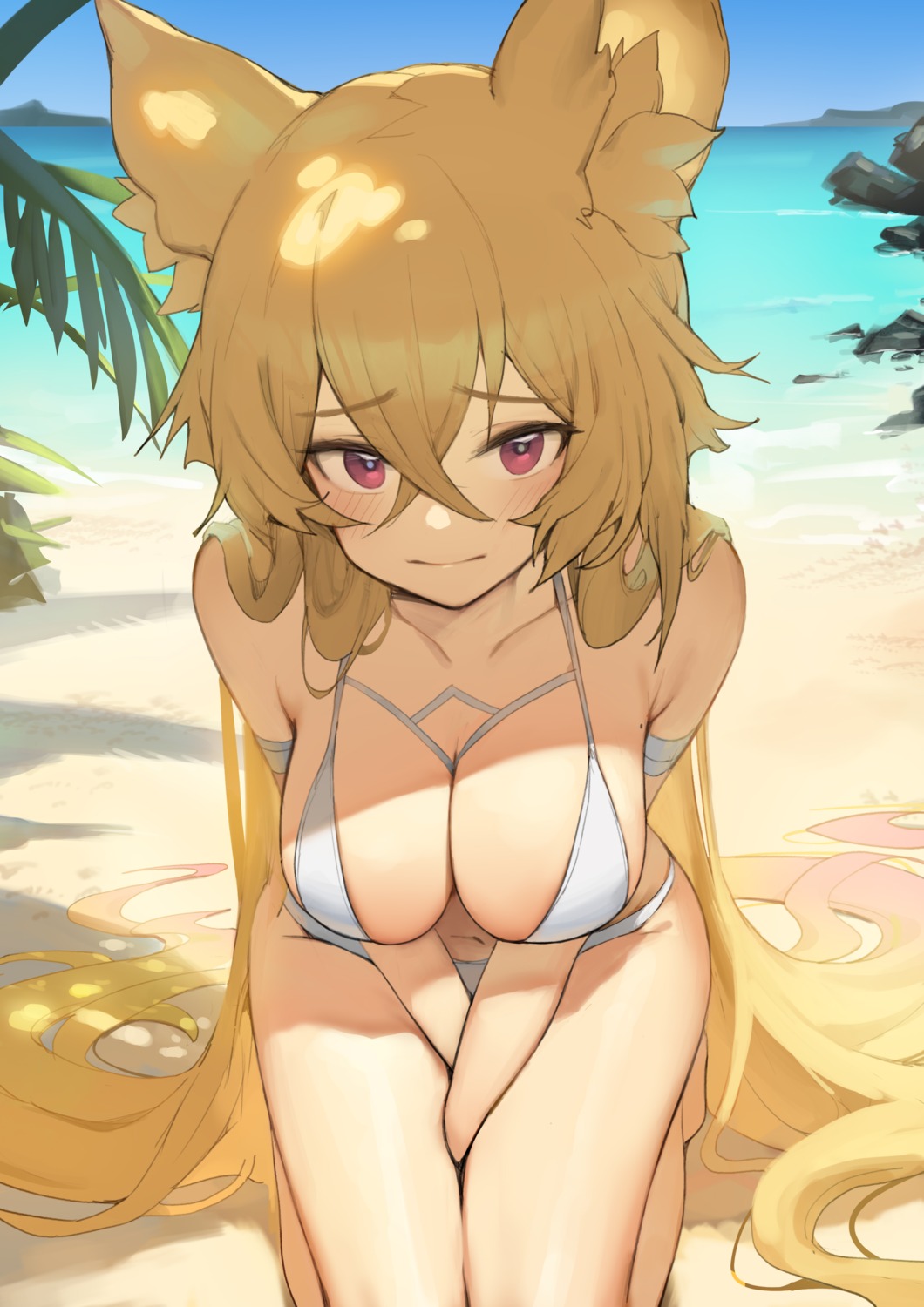 animal_ears bikini dungeon_fighter ellin_meiji romana swimsuits