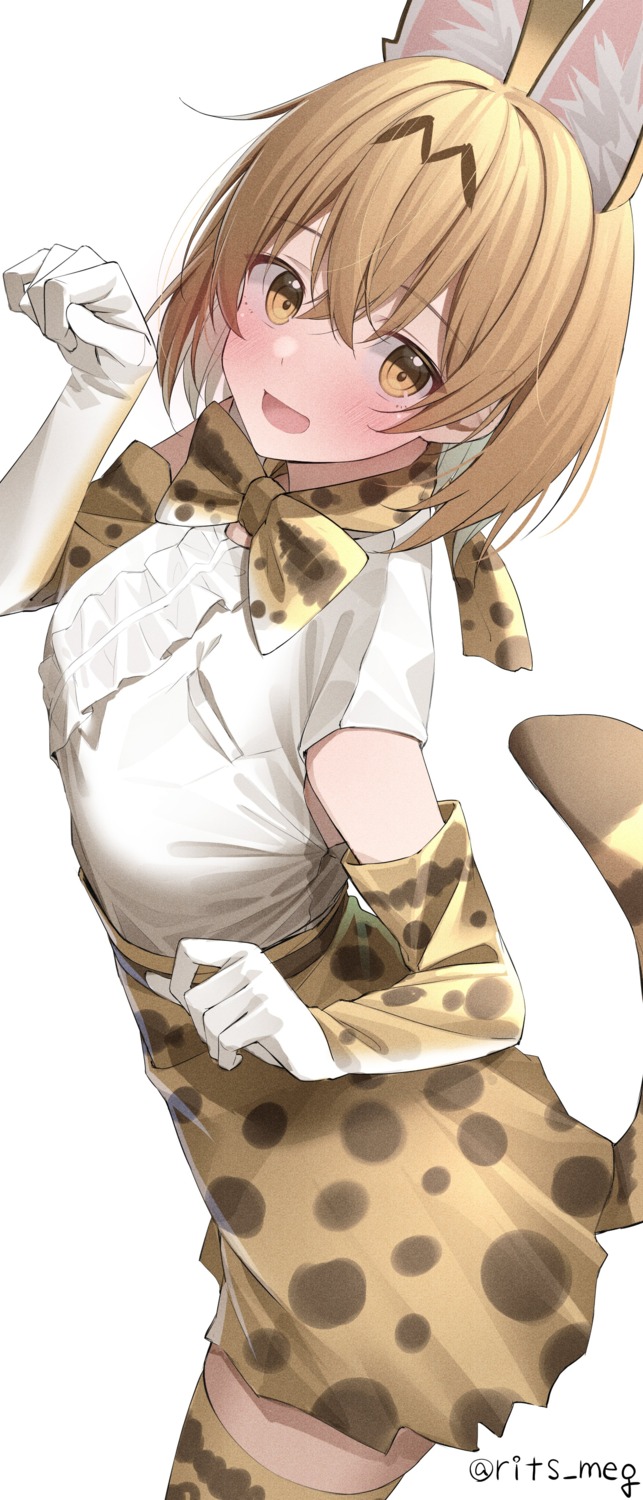 animal_ears kawai_ritsu_(rits_meg) kemono_friends serval tail thighhighs