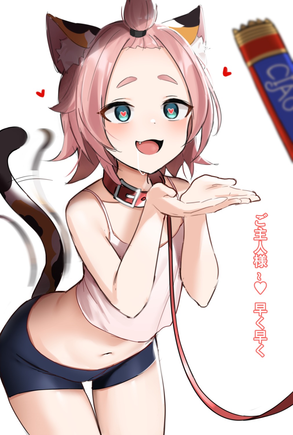 animal_ears bike_shorts diona genshin_impact loli nekomimi no_bra shengtian tail