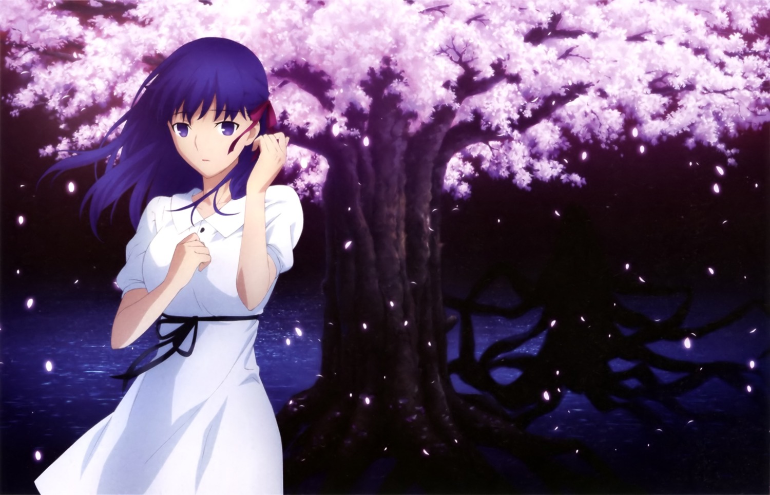 ajiki_kei dress fate/stay_night fate/stay_night_heaven's_feel matou_sakura