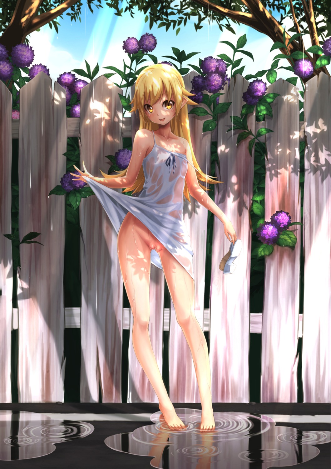 bakemonogatari bandaid dress loli maebari no_bra nopan oshino_shinobu pointy_ears pussy see_through shiro_ringo skirt_lift summer_dress wet_clothes