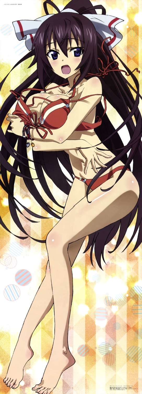 bikini breast_hold cleavage infinite_stratos infinite_stratos_2 kuniyuki_yurie shinonono_houki swimsuits wardrobe_malfunction