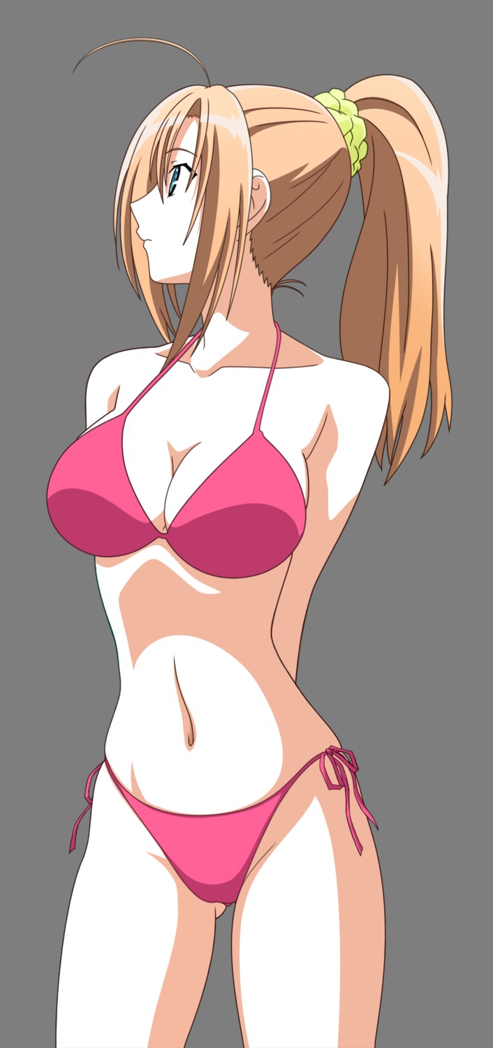 bikini cleavage kämpfer sakura_kaede swimsuits transparent_png vector_trace