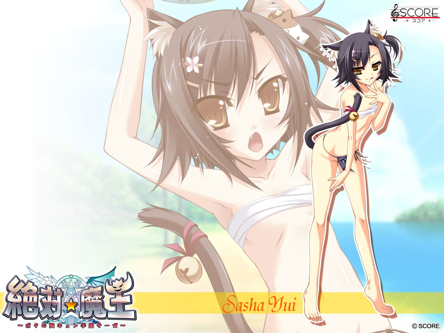 animal_ears fundoshi nekomimi sarashi sasha_yui score tail wallpaper zettai_maou