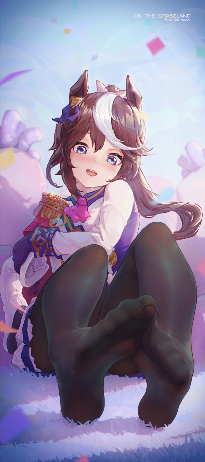 animal_ears feet icecake pantyhose skirt_lift tokai_teio_(umamusume) uma_musume_pretty_derby uniform