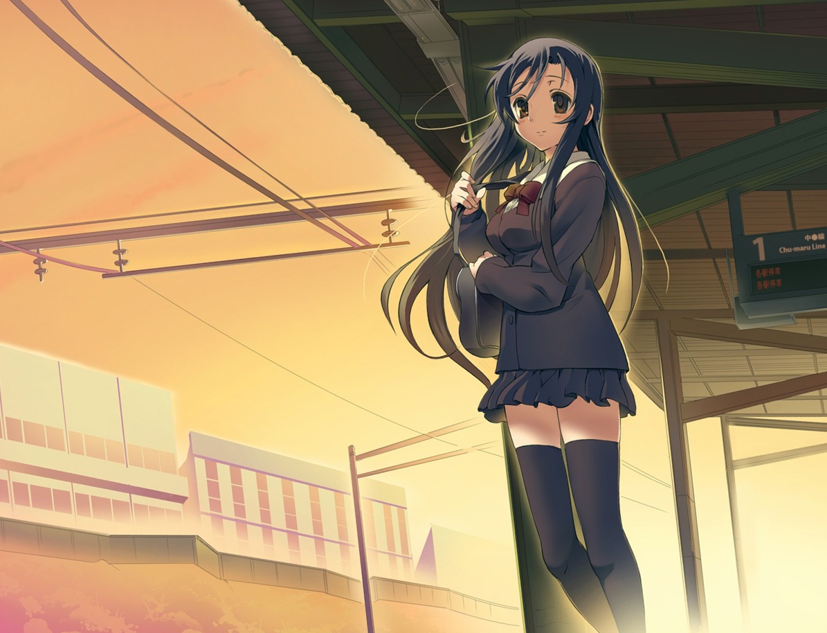 katsura_kotonoha school_days seifuku tam-u thighhighs