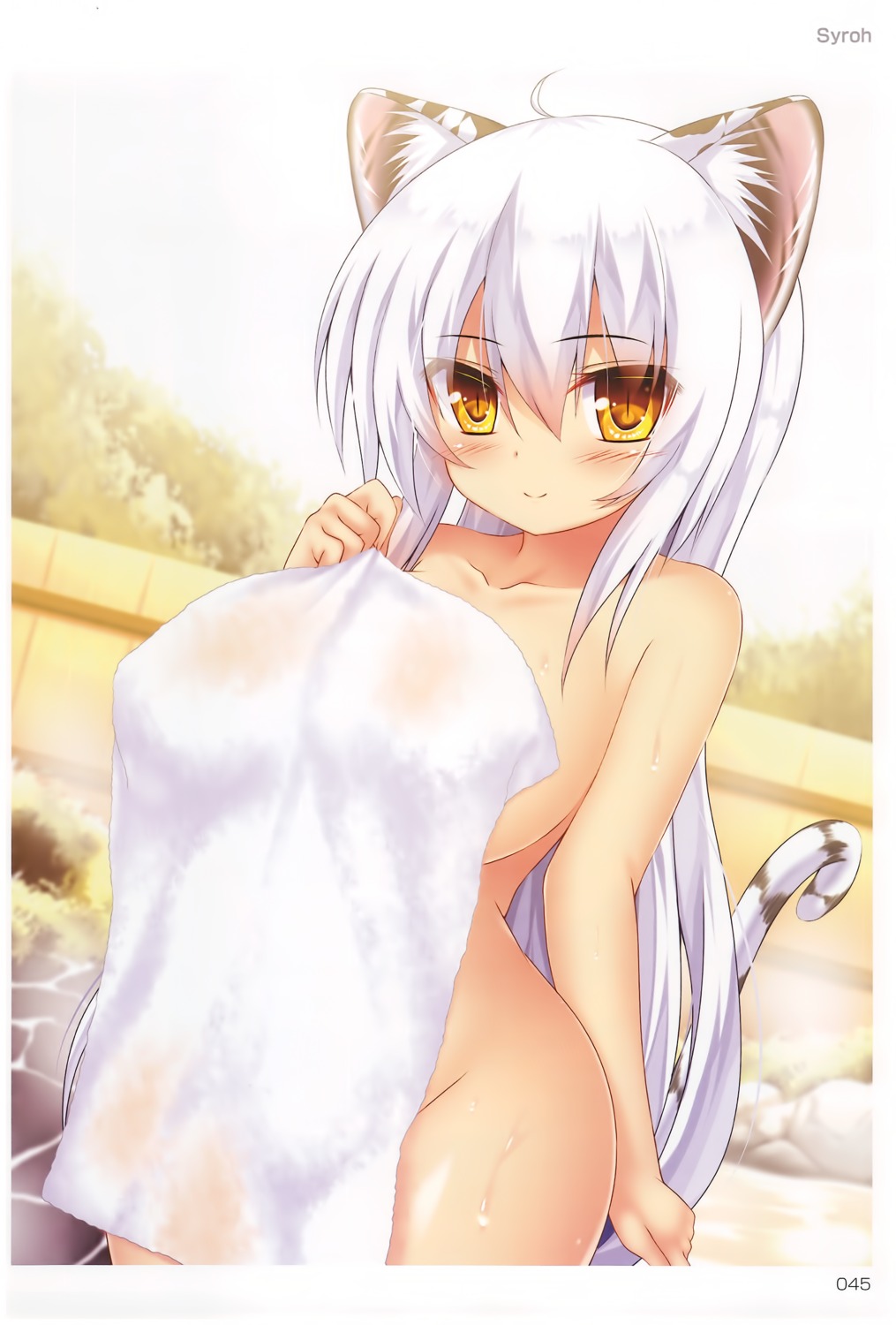 animal_ears naked onsen syroh tail toranoana towel wet