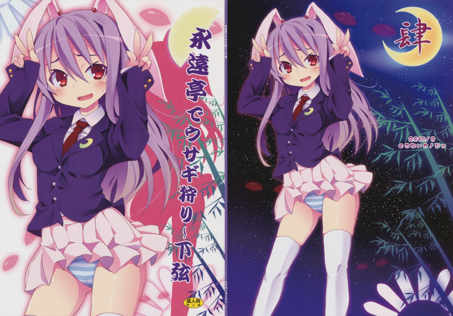 animal_ears bunny_ears kishiri_toworu nounai_kanojo pantsu reisen_udongein_inaba screening shimapan thighhighs touhou