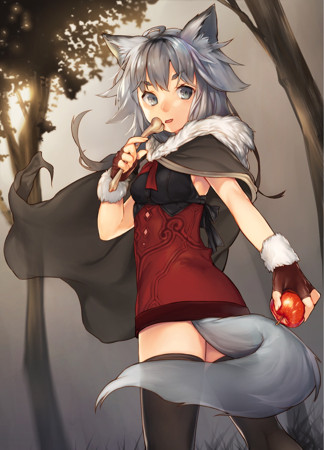 akayan animal_ears dress tail thighhighs