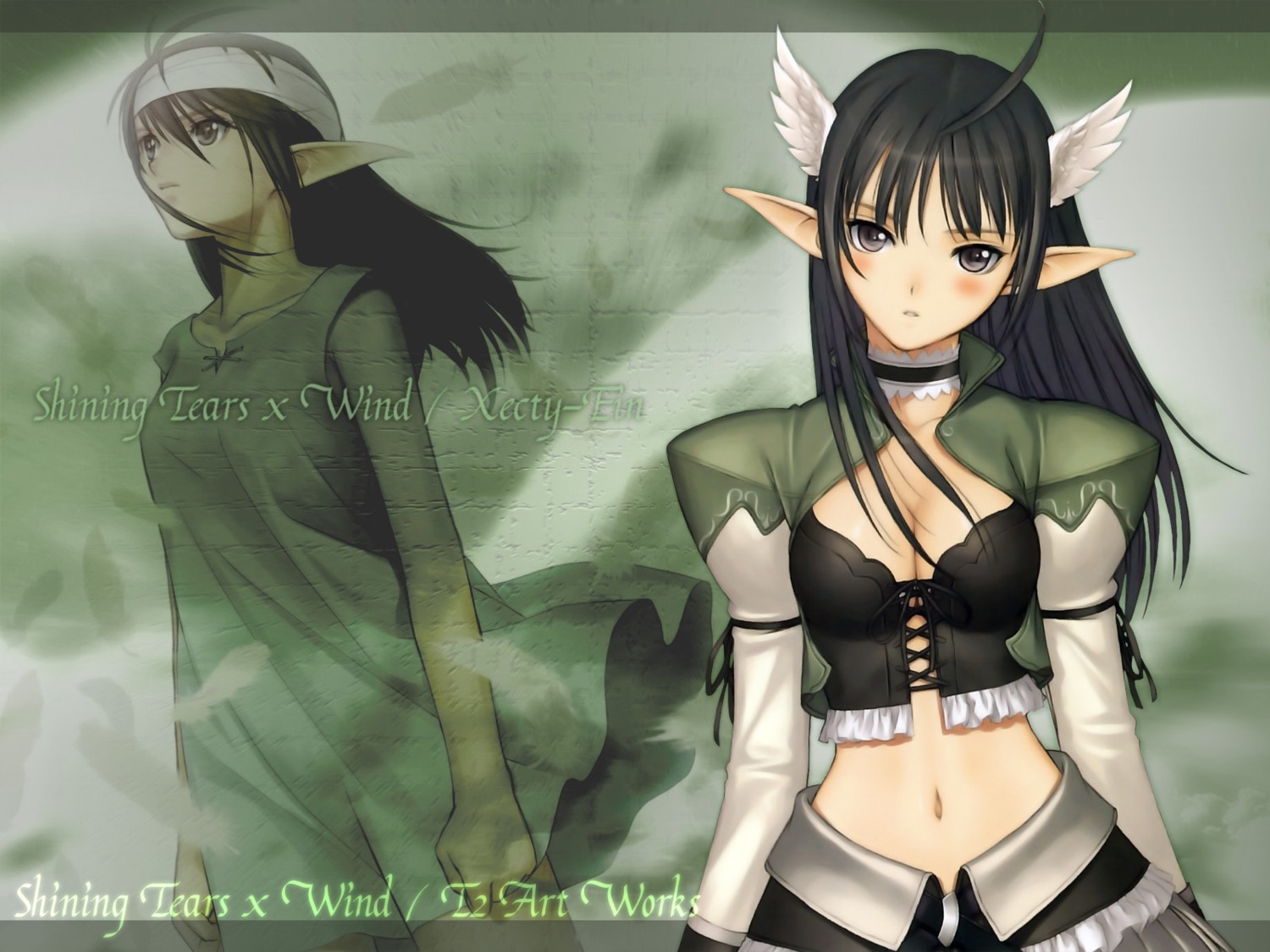 elf pointy_ears shining_tears shining_wind shining_world tony_taka wallpaper xecty_ein