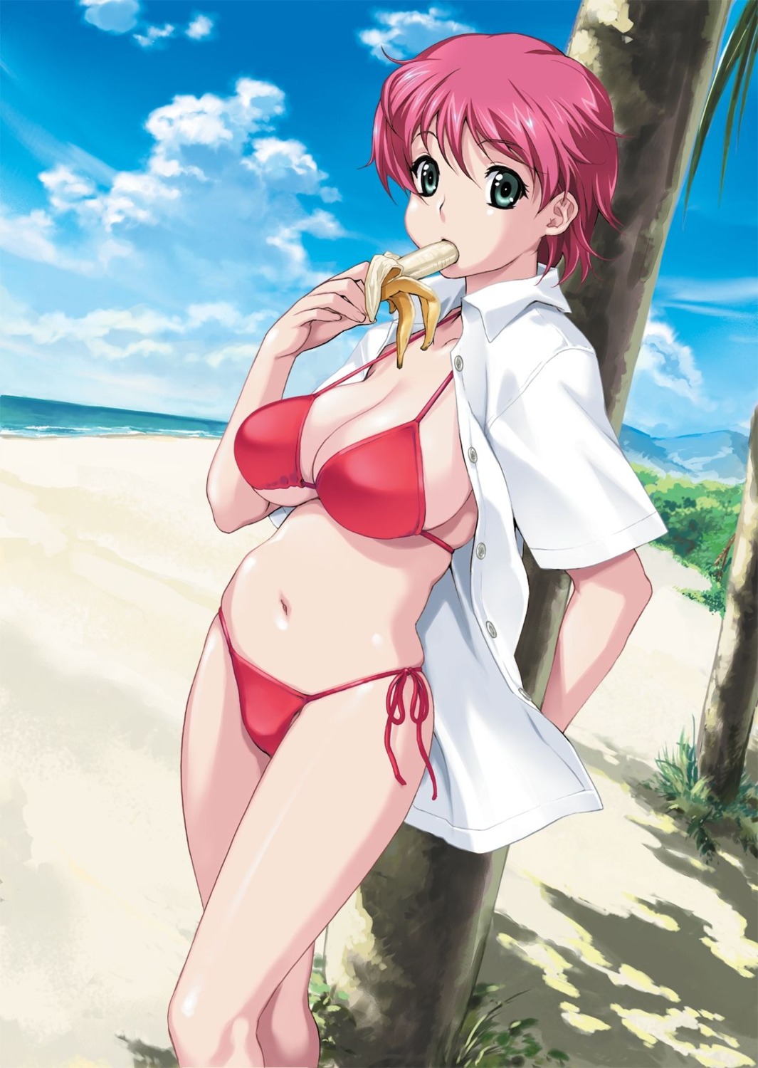 bikini crossnet-pie dress_shirt happoubi_jin iihara_nao open_shirt resort_boin swimsuits