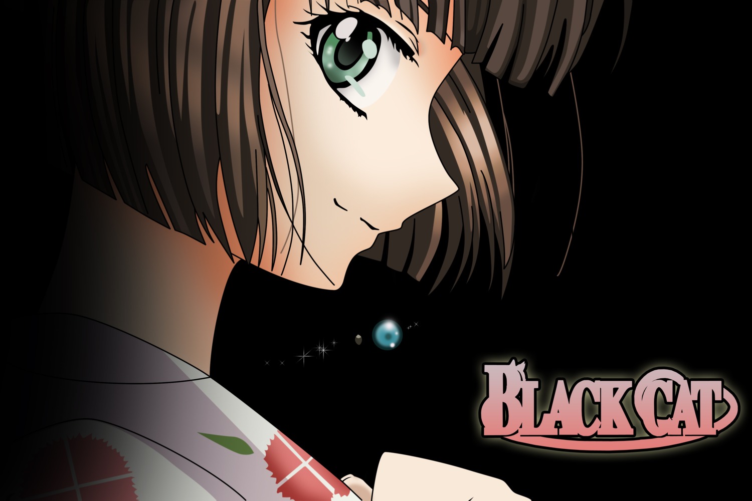 black_cat minatsuki_saya vector_trace