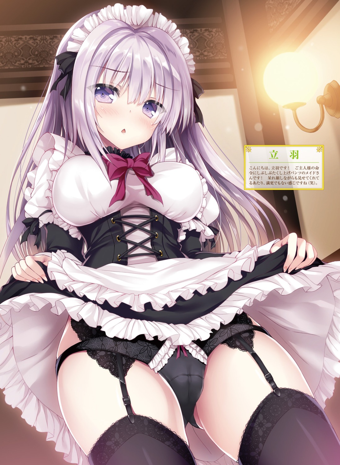 cameltoe maid pantsu skirt_lift stockings tateha thighhighs