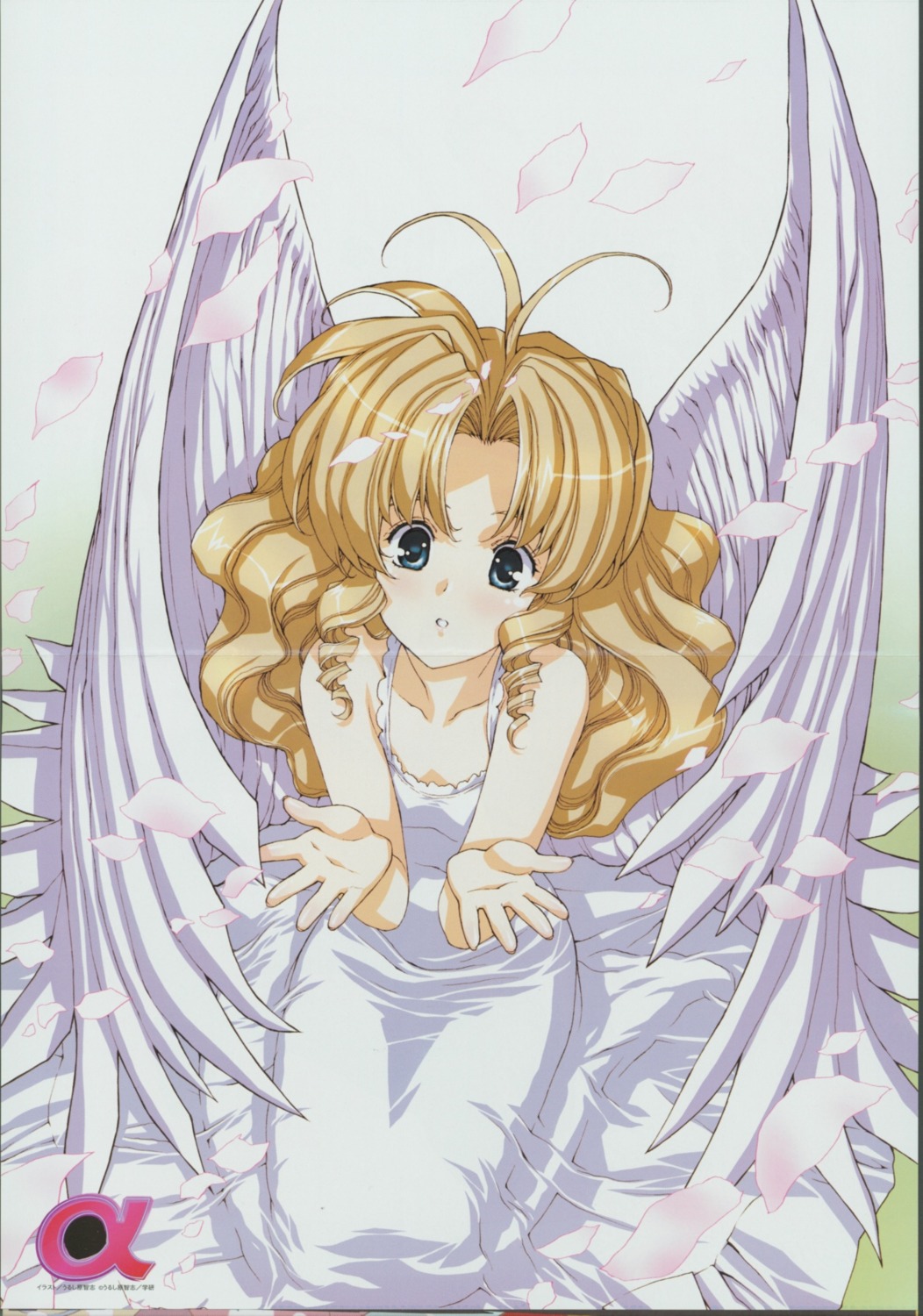 angel crease urushihara_satoshi wings