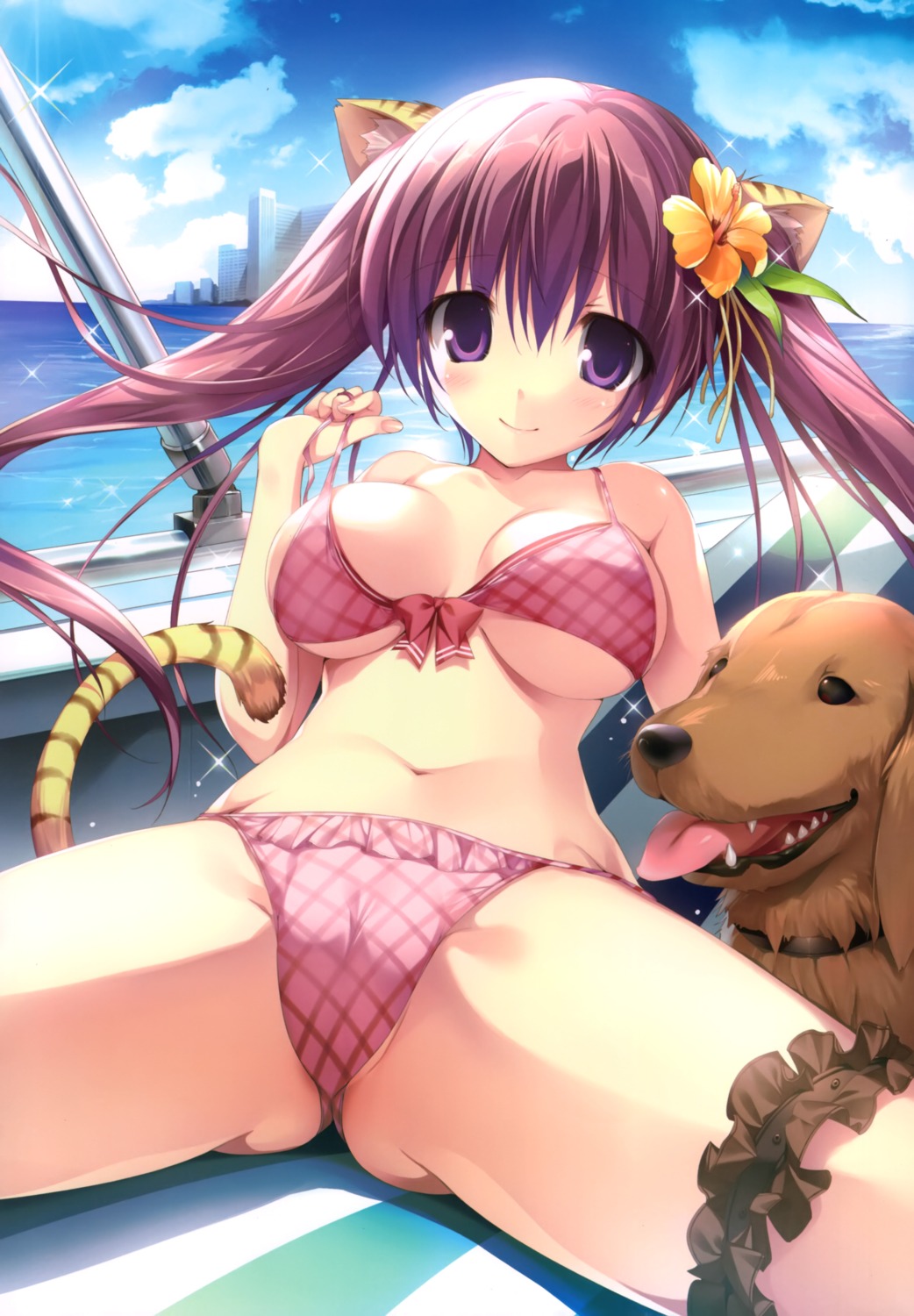 animal_ears bikini cameltoe karory swimsuits tail