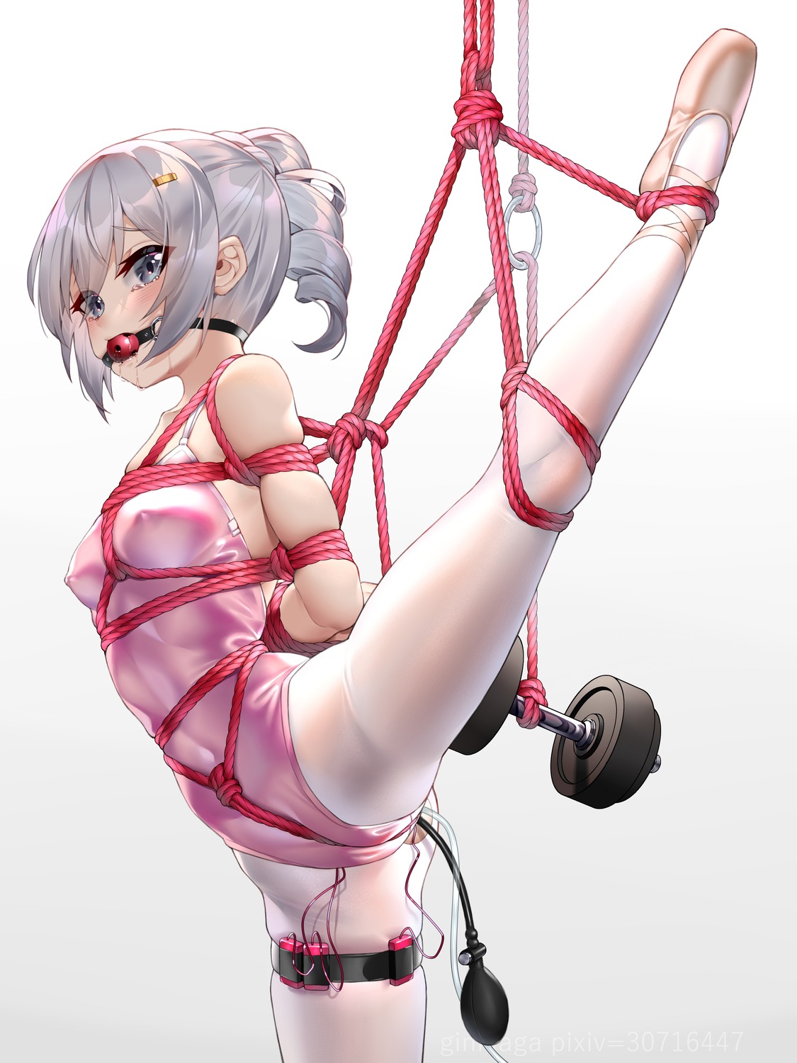 anal benghuai_xueyuan bondage bronya_zaychik cameltoe erect_nipples garter ginklaga honkai_impact leotard no_bra pantyhose vibrator