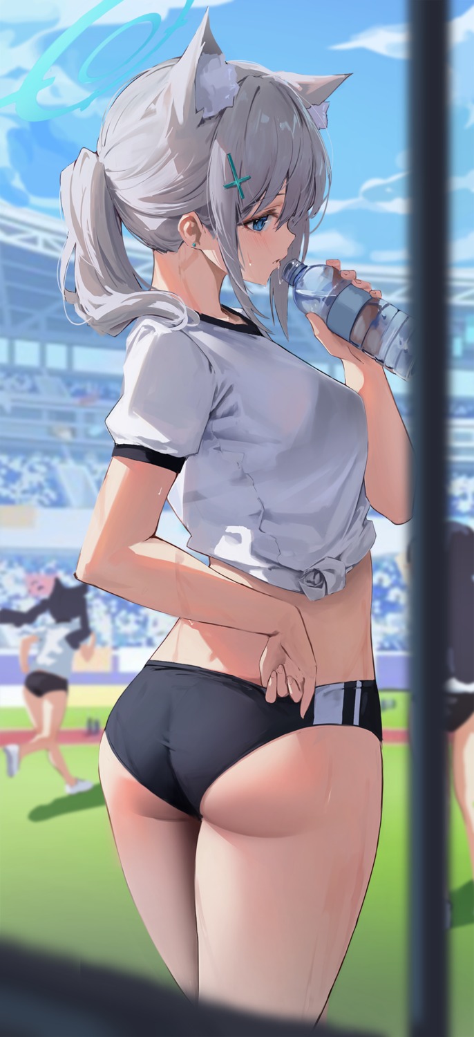 animal_ears ass blue_archive bra buruma gym_uniform halo hiki_niito nekomimi see_through sunaookami_shiroko wet wet_clothes