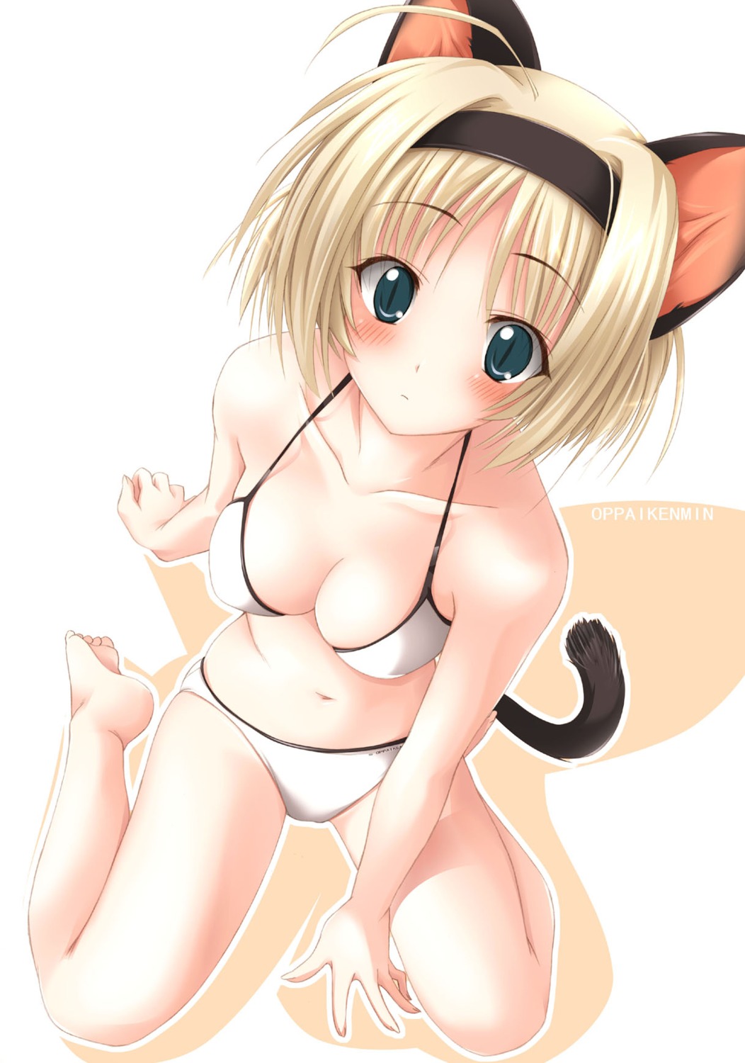 animal_ears bikini cleavage nekomimi oppai_kenmin swimsuits