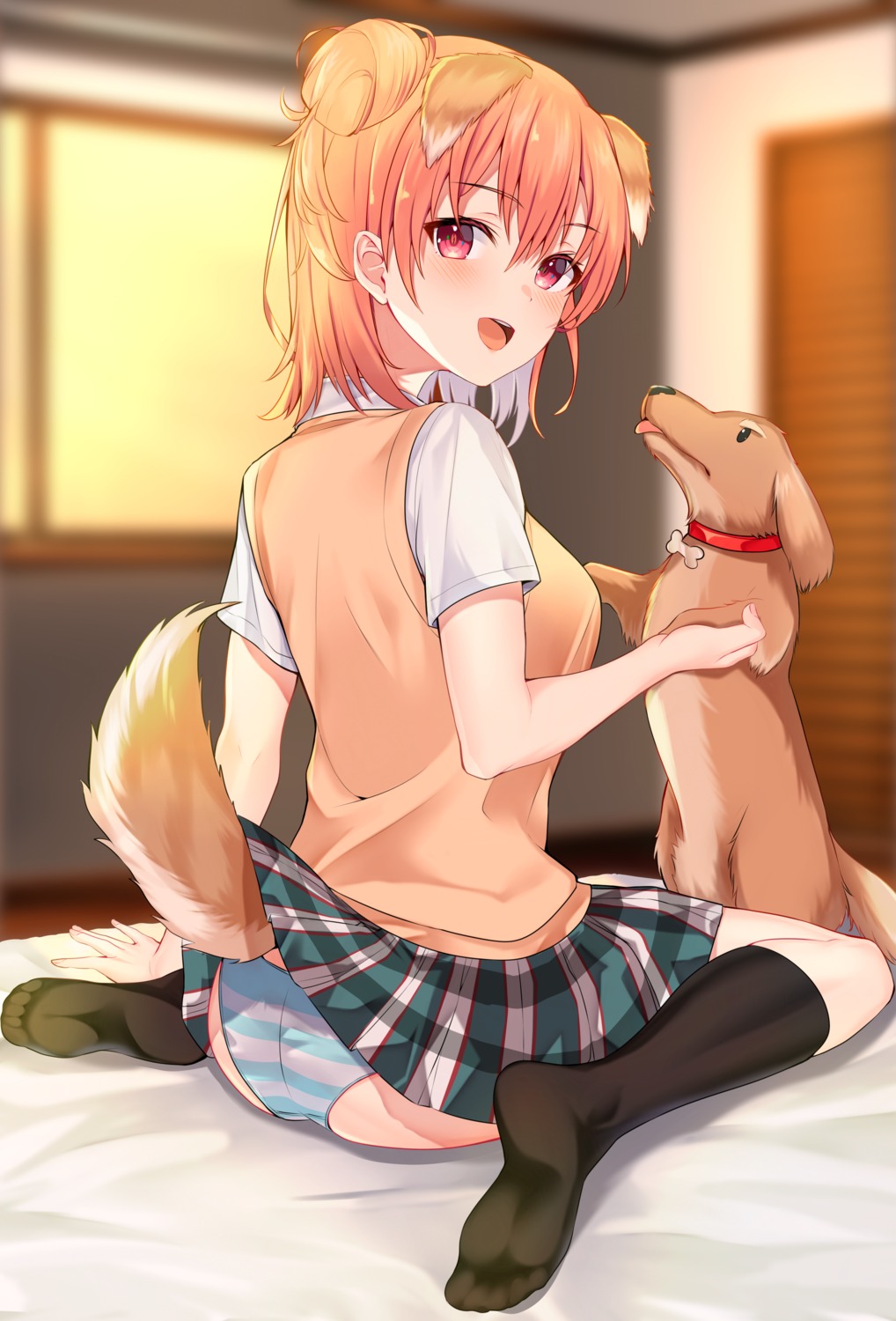 animal_ears ass feet inumimi jun_(aousa0328) pantsu seifuku shimapan skirt_lift sweater tail yahari_ore_no_seishun_lovecome_wa_machigatteiru. yuigahama_yui