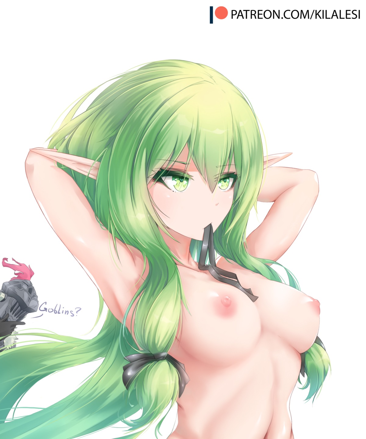 elf goblin_slayer goblin_slayer_(character) high_elf_archer kilalesi nipples pointy_ears topless