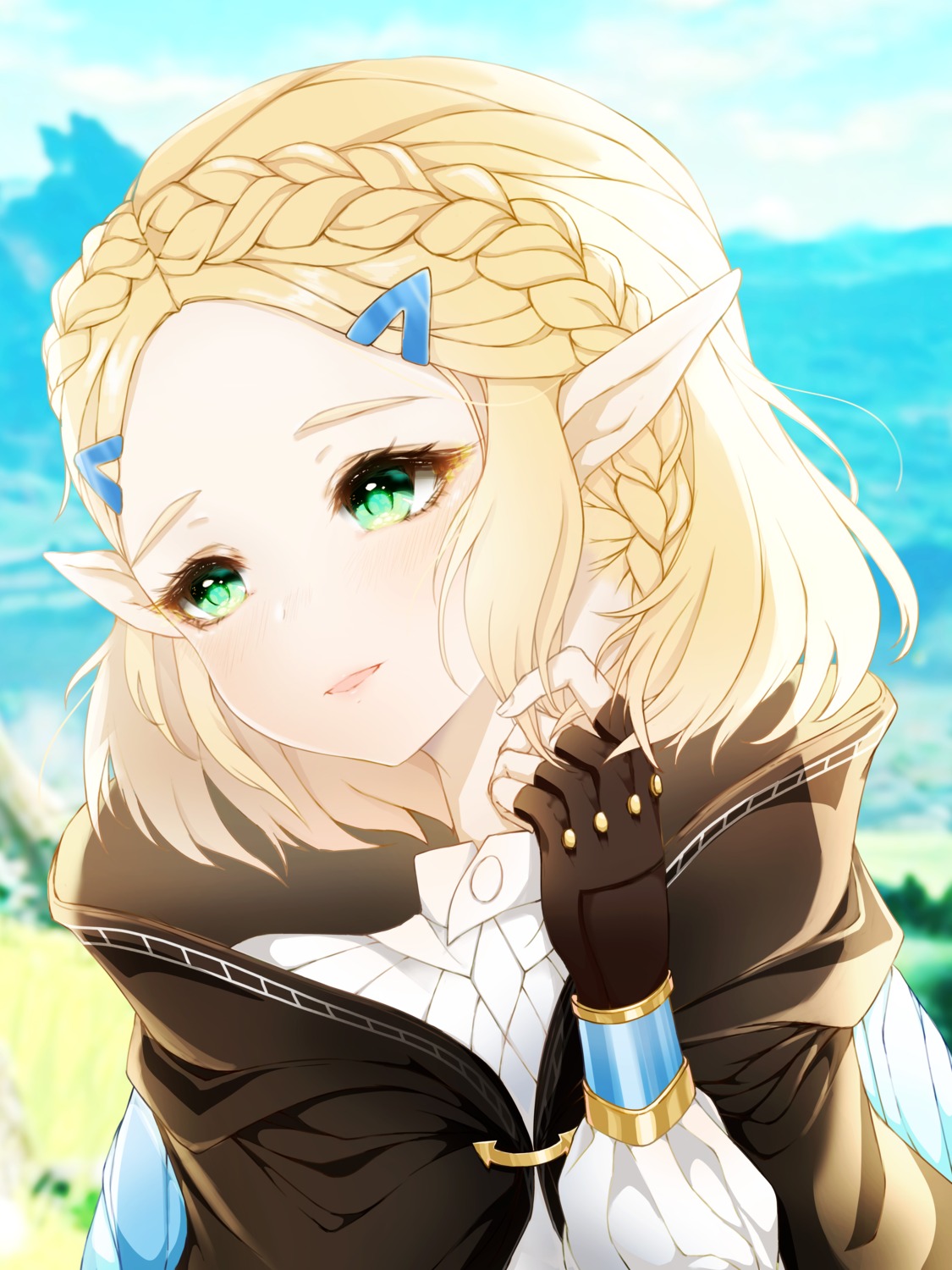 nao_ri pointy_ears princess_zelda the_legend_of_zelda