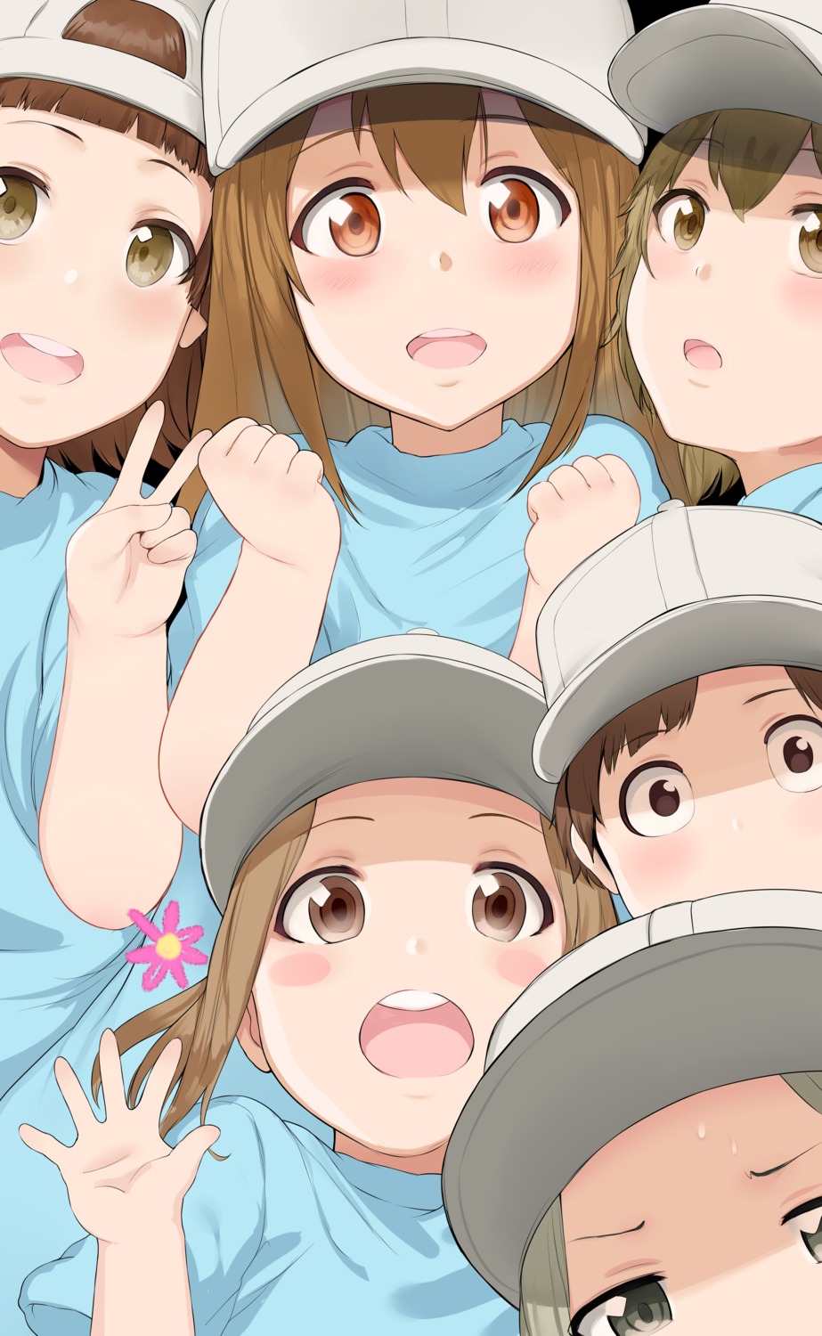 hataraku_saibou hews platelet_(hataraku_saibou)