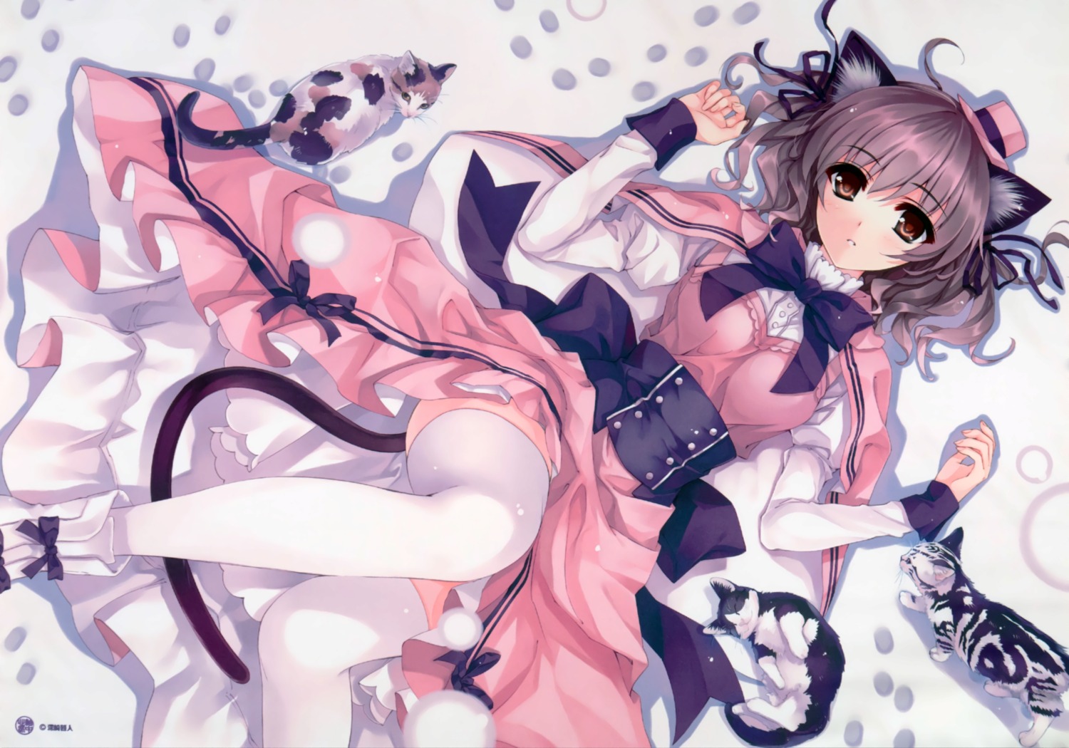 animal_ears dress misaki_kurehito neko nekomimi tail thighhighs