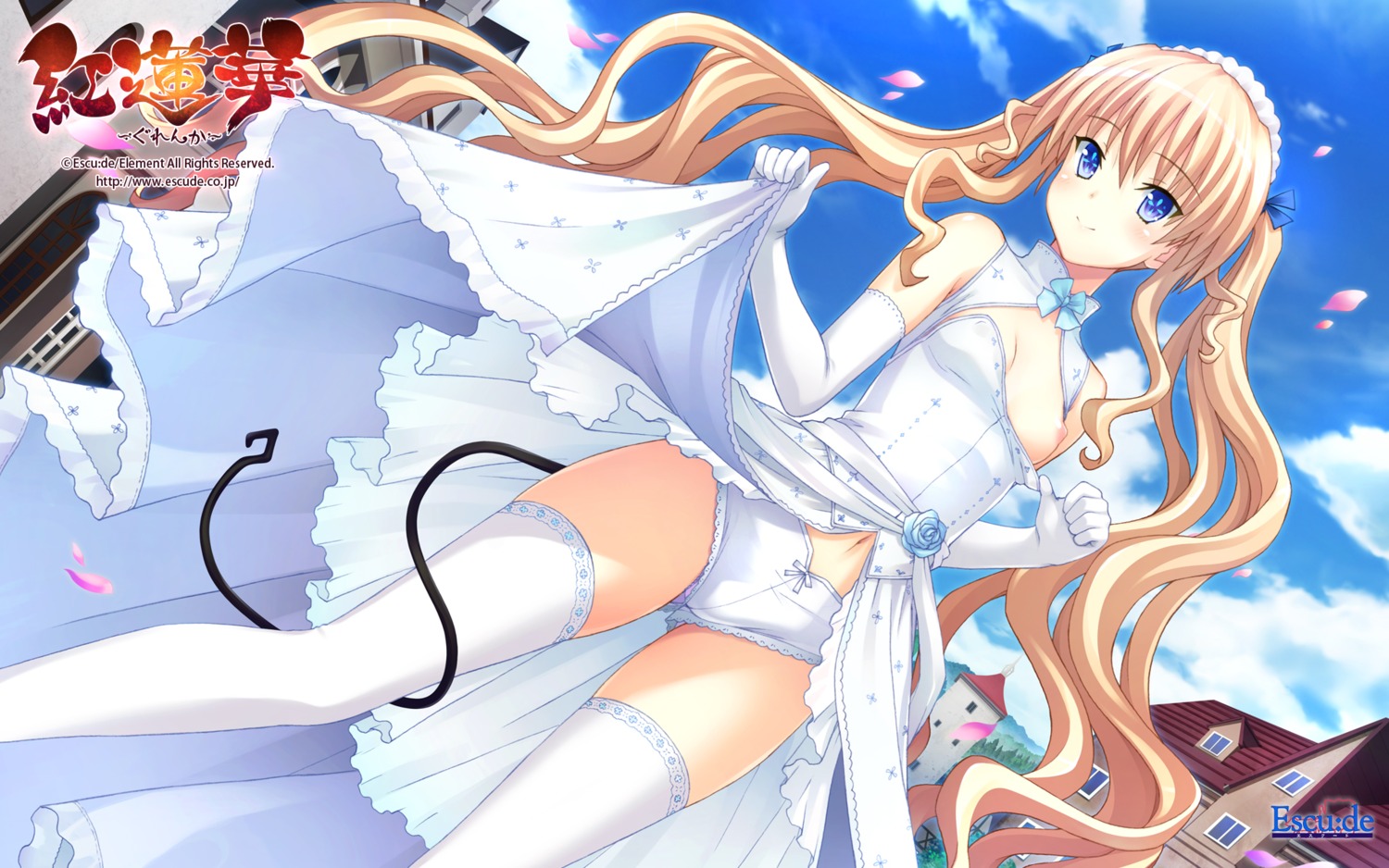 breasts dress escu:de gurenka nekonyan nipples pantsu skirt_lift tail thighhighs wallpaper